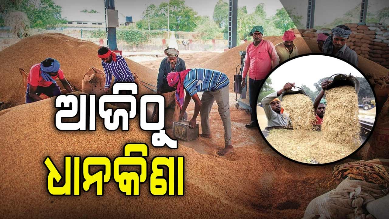 ଚାଷୀଙ୍କ ପାଇଁ ଖୁସି ଖବର... ଆଜିଠୁ ଧାନକିଣା 