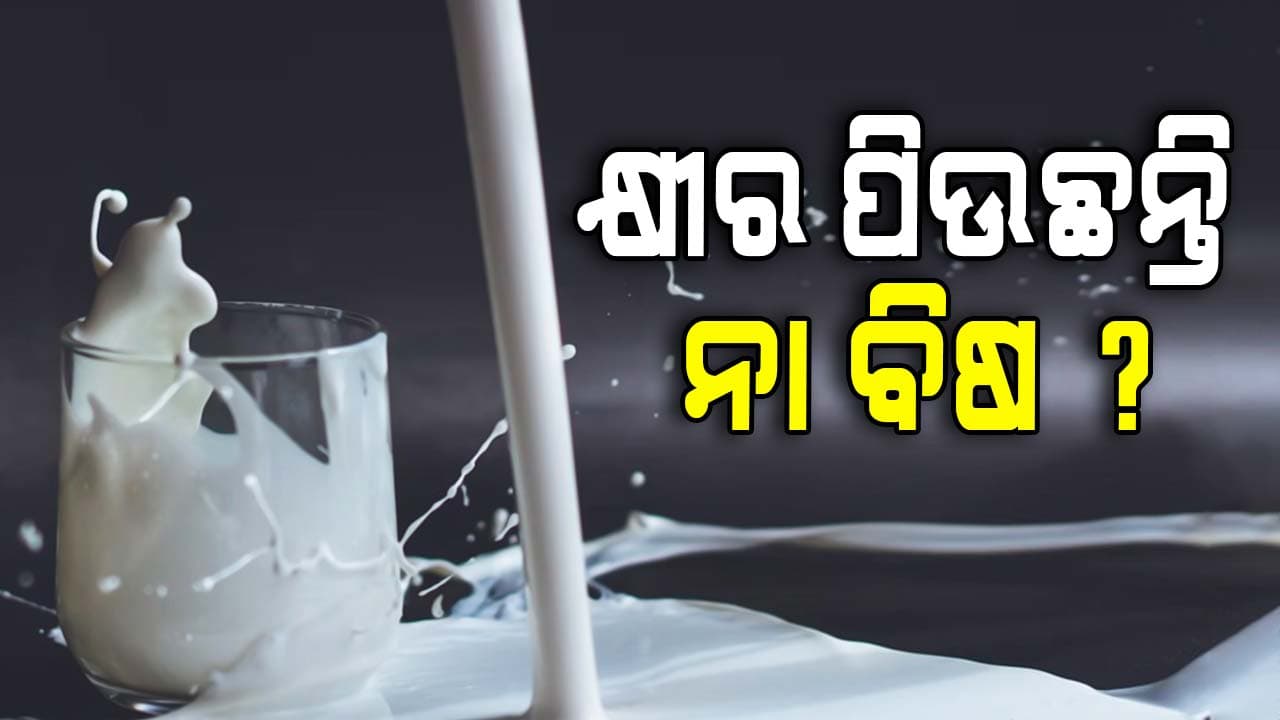 ଆଜି `ଜାତୀୟ ଦୁଗ୍ଧ ଦିବସ': ହଜାର ହଜାର ଗ୍ରାମୀଣ ମହିଳା ଦୁଗ୍ଧ ଉତ୍ପାଦନ କରି ଆତ୍ମନିର୍ଭରଶୀଳ 