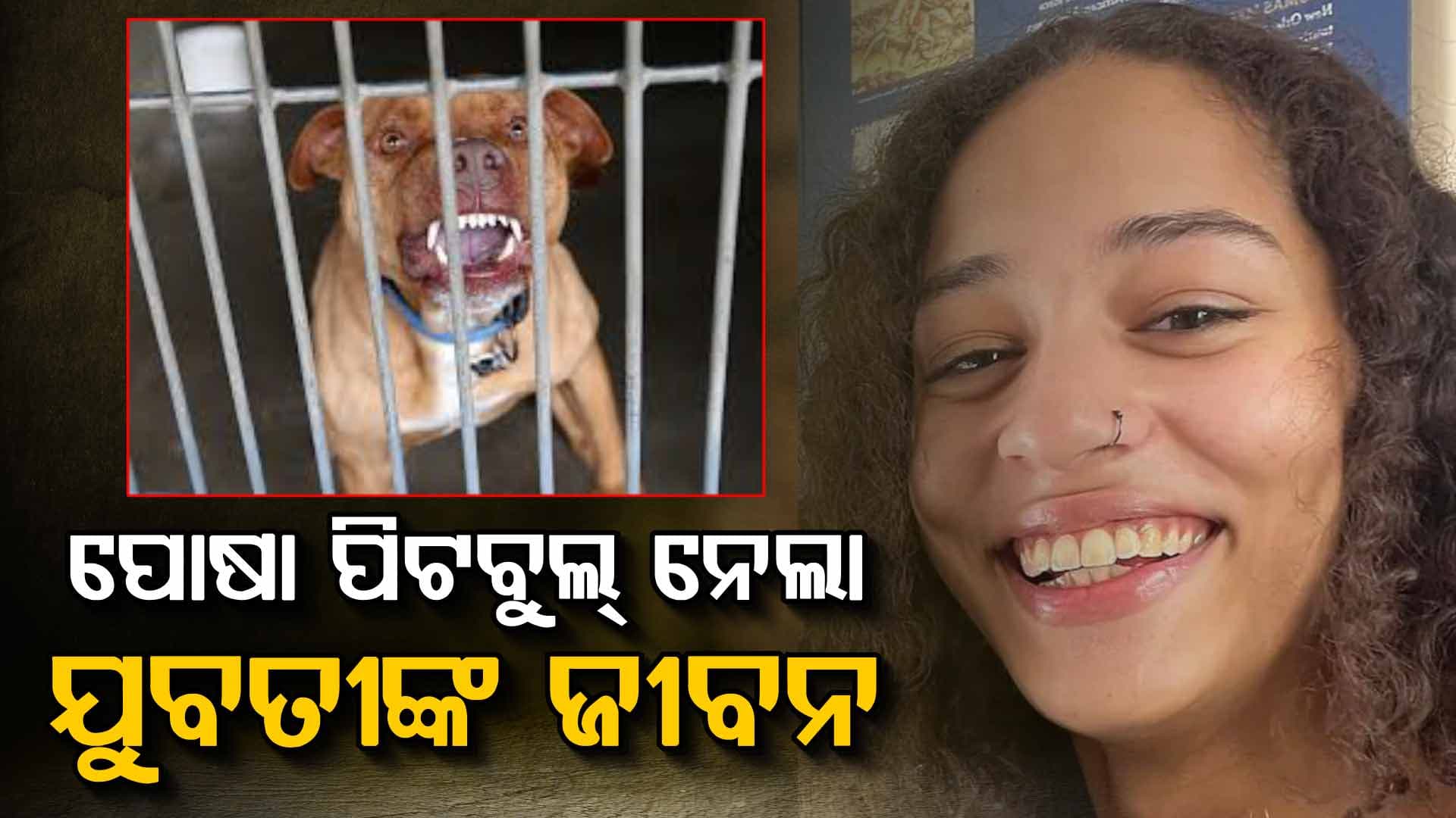 ଯାହାର ଯତ୍ନ ନେଉଥିଲେ ସେହି ପିଟବୁଲ କାମୁଡ଼ାରେ ଚାଲିଗଲା ୨୩ ବର୍ଷୀୟା ଛାତ୍ରୀଙ୍କ ଜୀବନ