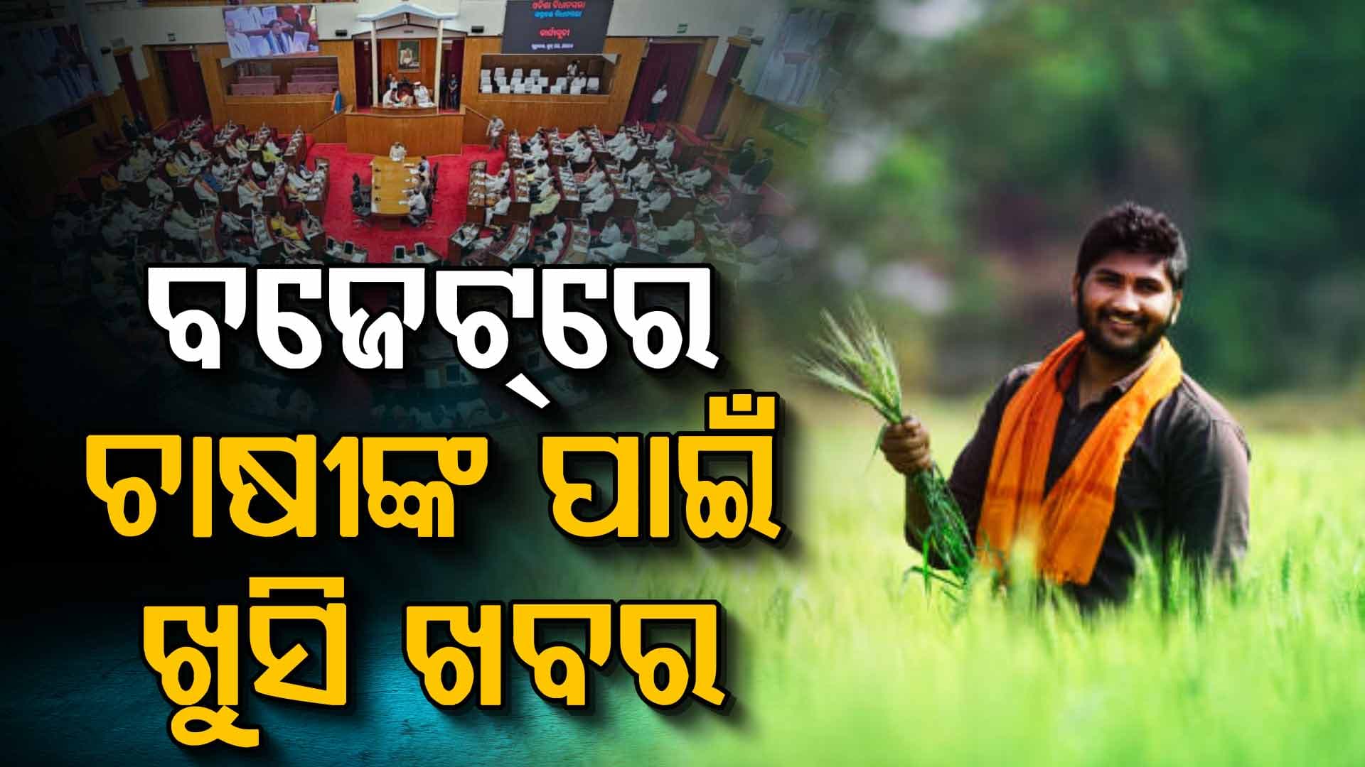 ଏଥର ବଜେଟ୍‌ରେ ଚାଷୀଙ୍କ ପାଇଁ ଖୁସି ଖବର, ଋଣ ଛାଡ଼ ପାଇଁ ୩୦୦ କୋଟି
