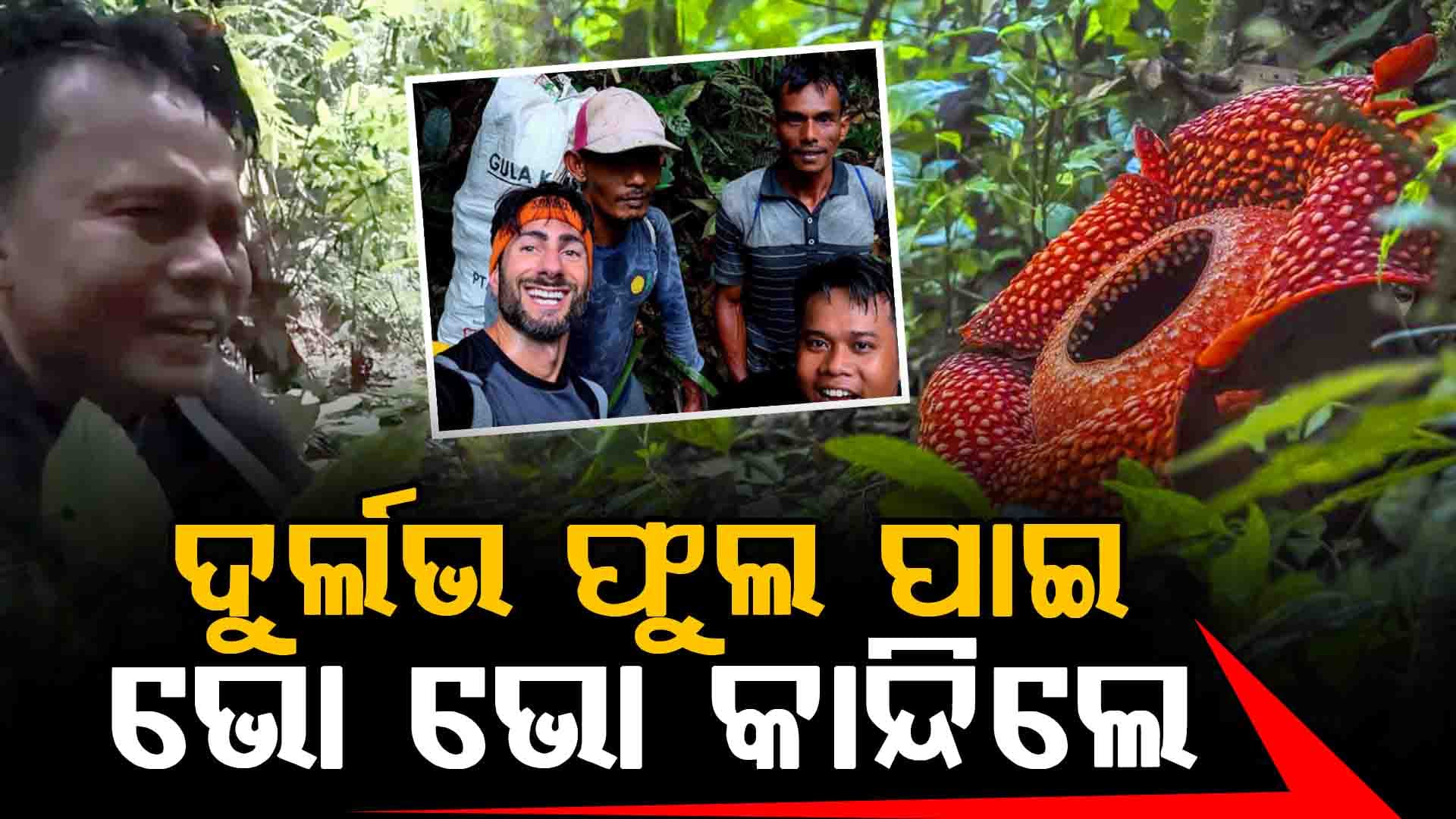 ଦୀର୍ଘ ୧୩ବର୍ଷର ଅପେକ୍ଷା ପରେ ଖୋଜି ପାଇଲେ ଦୁର୍ଲଭ ଫୁଲ: "ଜୀବନକୁ ବାଜି ଲଗାଇ ଫୁଲ ଫୁଟିବାକୁ ଜଗିଥିଲି" 