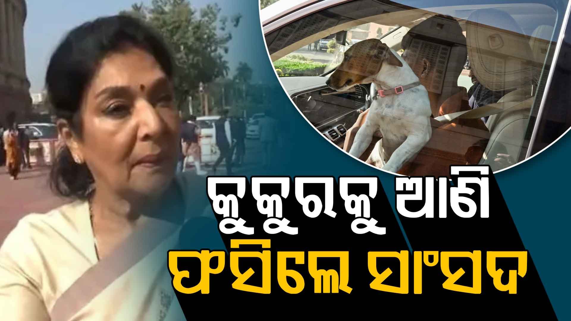 କୁକୁରକୁ ନେଇ ସଂସଦ ଆସିଲେ କଂଗ୍ରେସ ସାଂସଦ, ବିରୋଧ କଲା ବିଜେପି