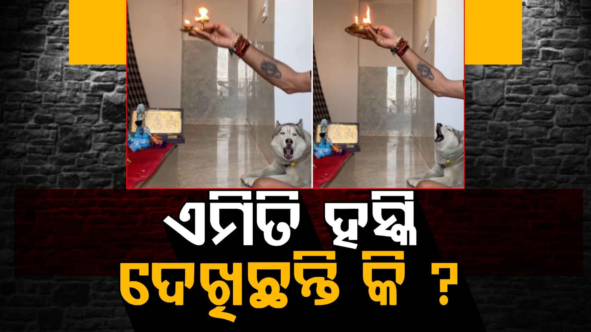 ଯେତେବେଳେ କର୍ପୁରଗୌରମ ଆରତୀ କରାଯାଉଥିଲା, କୁକୁର ମଧ୍ୟ ଏହାକୁ ପାଠ କରୁଥିଲା...