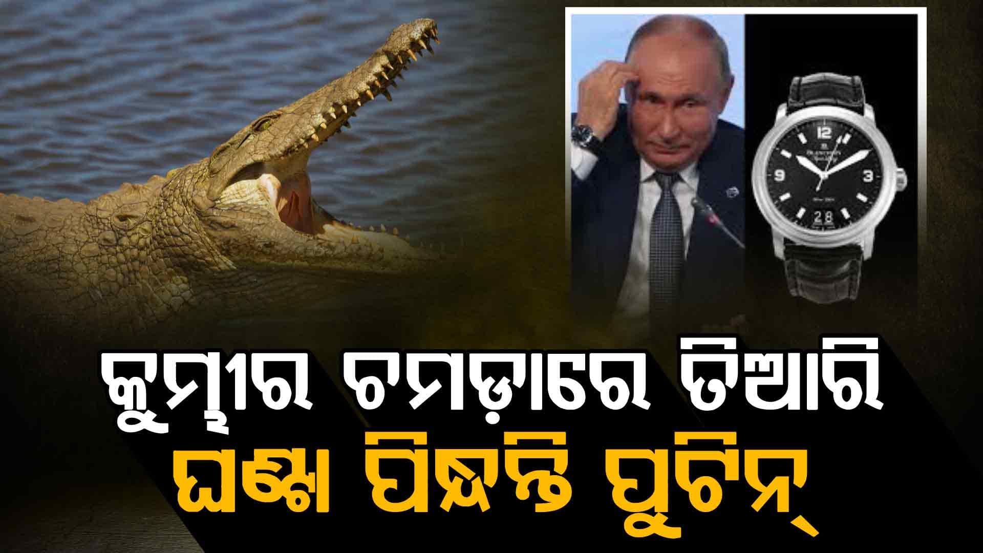 ଦାମୀ ଘଣ୍ଟାର ସୌକିନ୍‌ ପୁଟିନ୍‌, ଦାମ୍‌ ଶୁଣିଲେ ଉଡିଯିବ ହୋସ୍‌... 