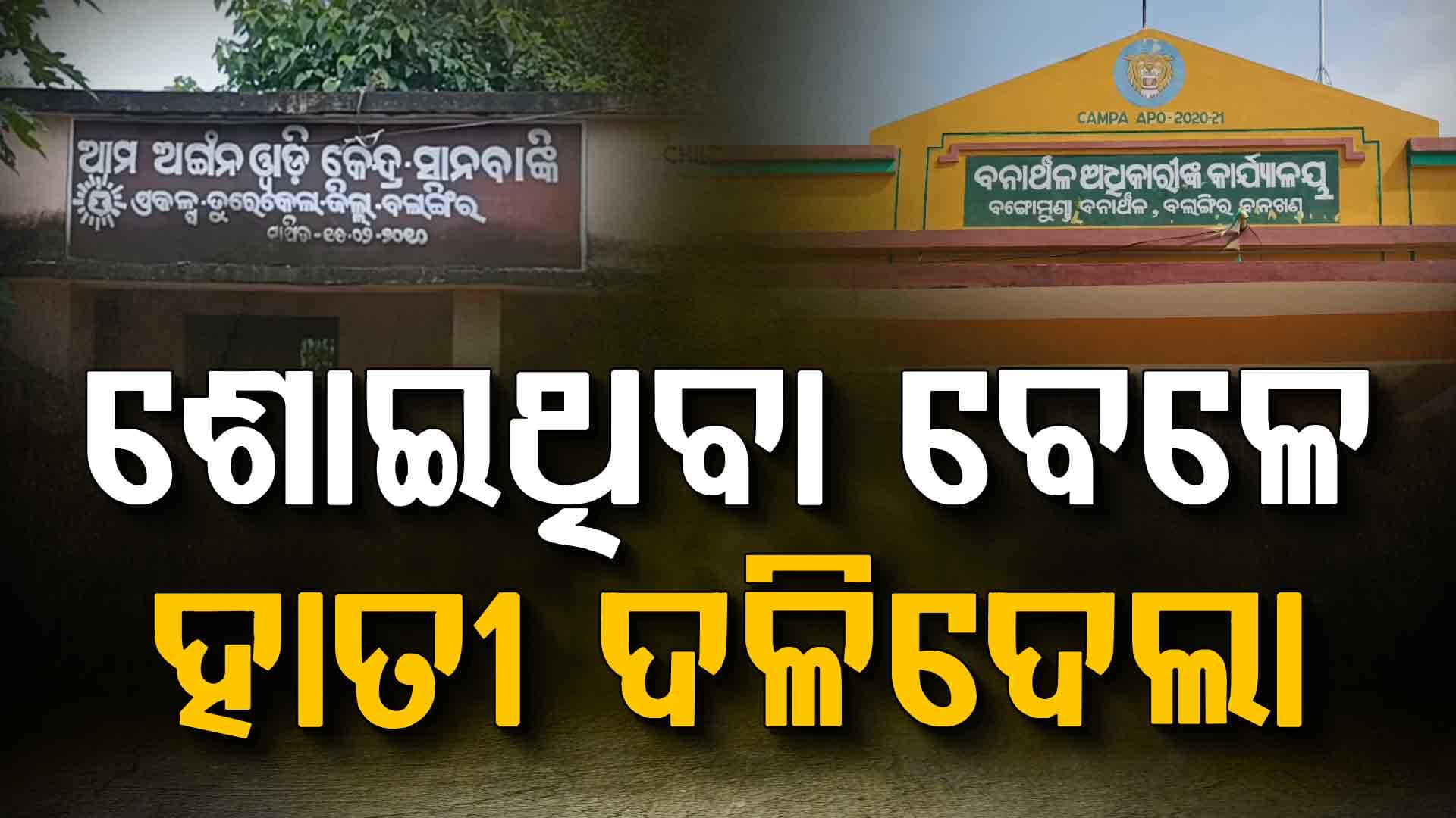 ୩ ଛୁଆଙ୍କ ସହ ଶୋଇଥିଲେ ସ୍ଵାମୀ, ସ୍ତ୍ରୀ; ବିଳମ୍ବିତ ରାତିରେ ଆସି ଦଳିଦେଲା ହାତୀ