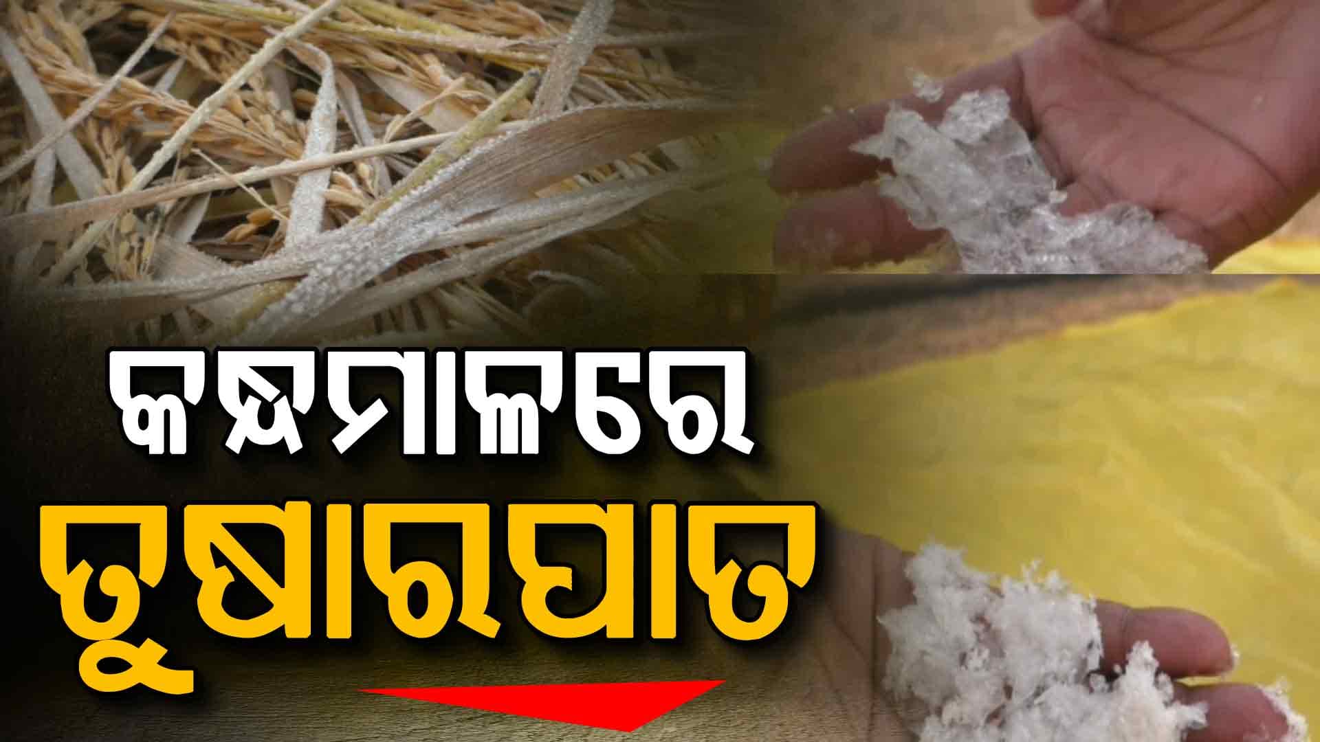 ହାଡ଼ଭଙ୍ଗା ଜାଡ଼ରେ ଥରୁଛି ଓଡ଼ିଶା; ରାଉରକେଲା ଓ ଝାରସୁଗୁଡ଼ାରେ ୬ ଡିଗ୍ରୀକୁ ଖସିଲା ପାରଦ