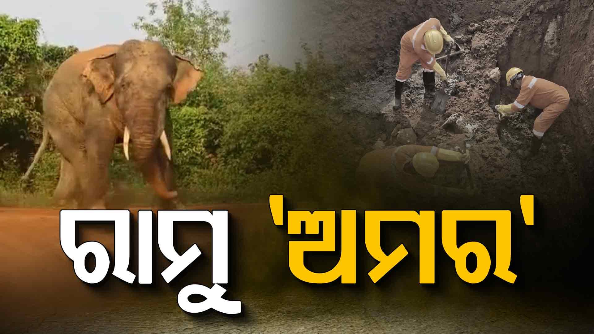 ବର୍ଷେ ପରେ ମାଟି ଖୋଳି କଢ଼ାଗଲା ରାମୁର ୪୦ ଖଣ୍ଡ ହାଡ଼ ସହ ୨ ଦାନ୍ତ; ଗୋଡ଼ିବାରୀରେ ହେବ ଅସ୍ଥି ସଂରକ୍ଷଣ