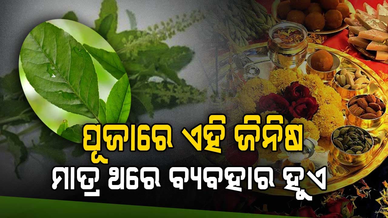 ଠାକୁରଙ୍କ ପାଖରେ ଏହି ସବୁ ଜିନିଷ ଥରେ ଲାଗେ, ଜାଣନ୍ତୁ କ'ଣ...