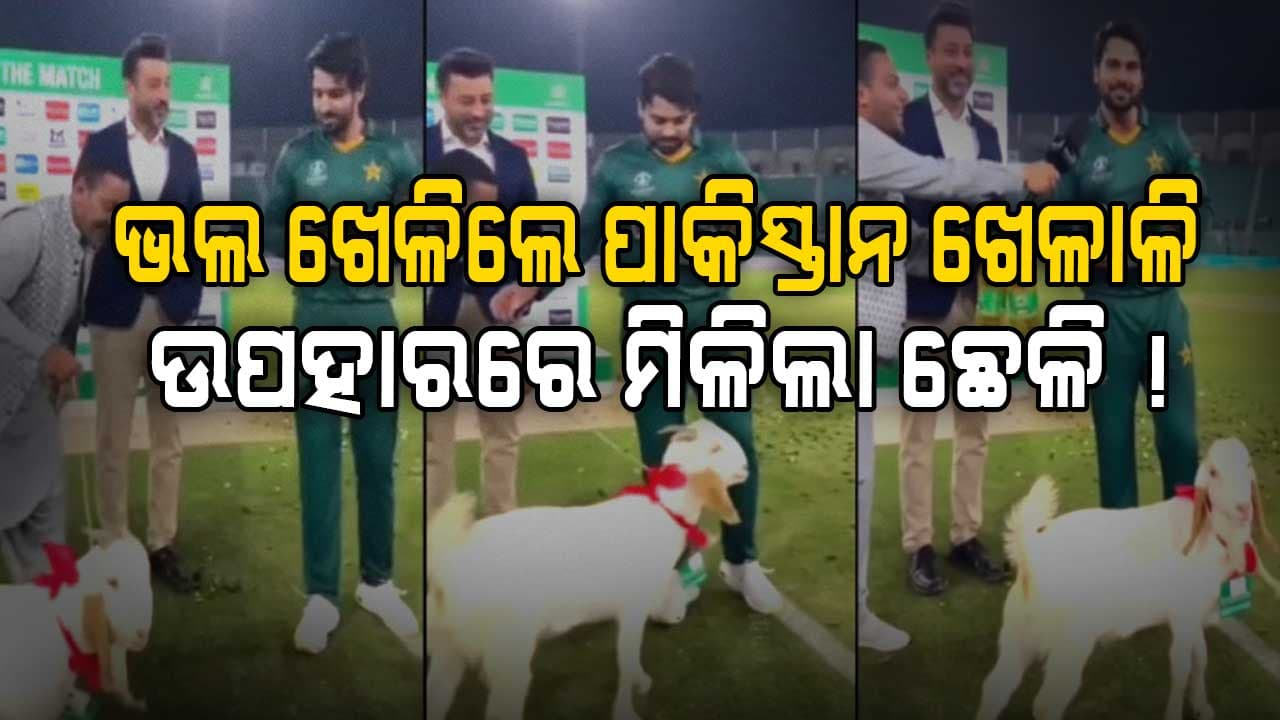 ମ୍ୟାନ୍ ଅଫ୍ ଦି ମ୍ୟାଚ୍ ବିଜେତାଙ୍କୁ ଛେଳି ଉପହାର, ପାକିସ୍ତାନରେ ହିଁ ଏହା ସମ୍ଭବ: ୟୁଜର୍ସ