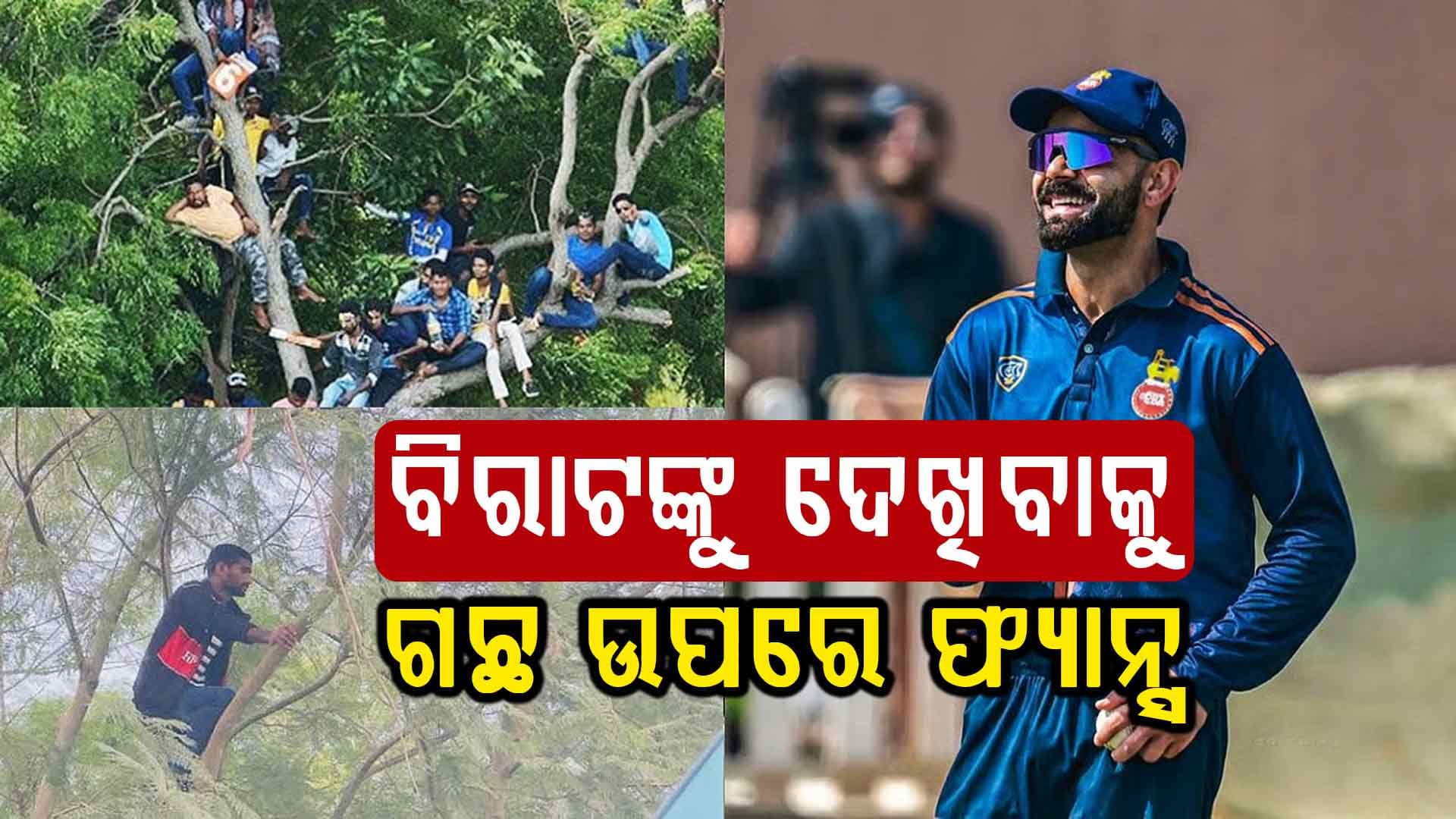 କୋହଲିଙ୍କ ପାଇଁ ପାଗଳ ଫ୍ୟାନ୍ସ, ମାନିଲେନି ବନ୍ଧ ବାଡ ଚଢ଼ିଗଲେ ଗଛରେ