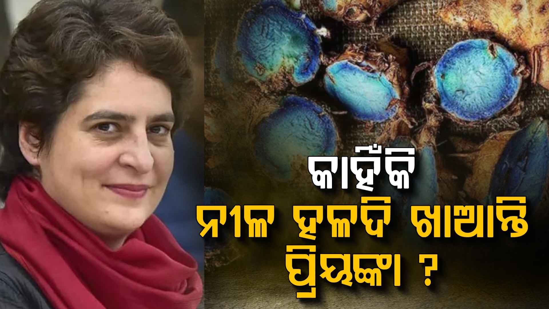 ନୀଳ ହଳଦିର ରହସ୍ୟ ଖୋଲିଲେ ପ୍ରିୟଙ୍କା ଗାନ୍ଧୀ, ପ୍ରଧାନମନ୍ତ୍ରୀ କହିଲେ...