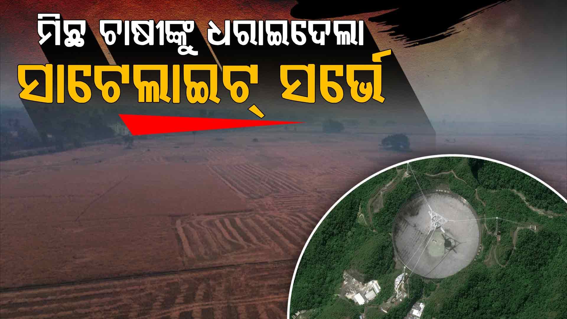 ୨୫ ଲକ୍ଷ ଚାଷ ଜମିରୁ ୧୯ ଲକ୍ଷ ମିଛ; ଚାଷ ନ କରି ଧାନ ବିକ୍ରି ପାଇଁ ପଞ୍ଜୀକରଣ