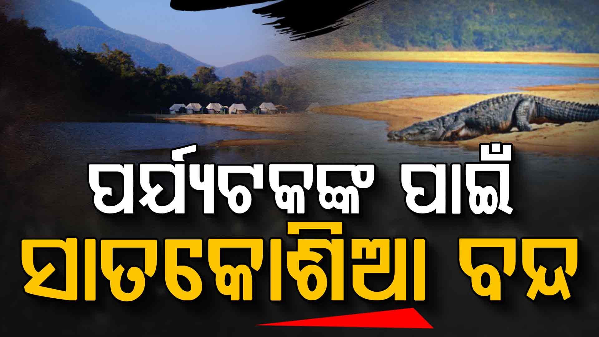 ଆଜିଠାରୁ ସାତକୋଶିଆରେ କୁମ୍ଭୀର ଓ ପକ୍ଷୀ ଗଣନା