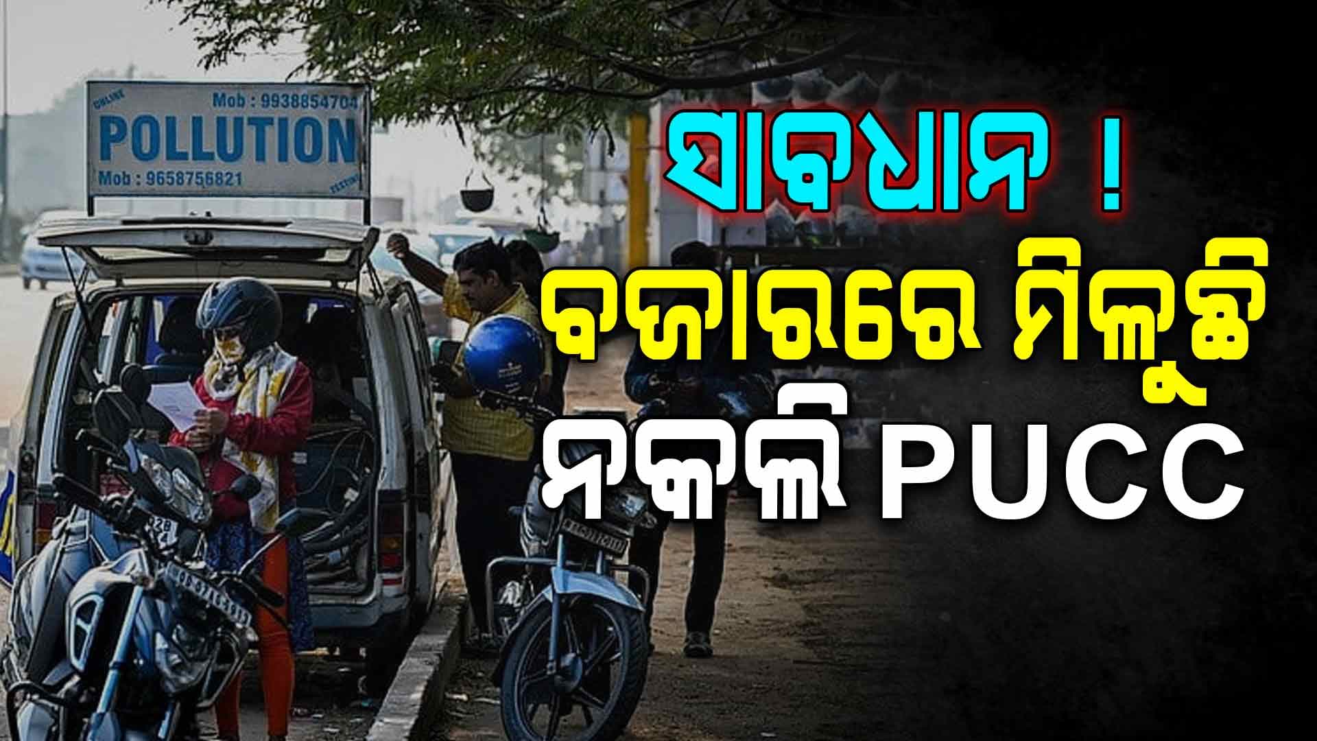 ବଜାରରେ ନକଲି ସାର୍ଟିଫିକେଟ୍ ! ଅର୍ଗସରେ ଖବର ବାଜିବା ପରେ ୫୨ ଲାଇସେନ୍ସ କ୍ୟାନ୍‌ସଲ