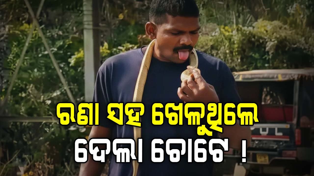ଜଙ୍ଗଲୀ ରଣା ଧରି ଗେଲ ଖେଳୁଥିଲେ, ବାହାଦୁରୀ ଭାରି ପଡ଼ିଲା ! ଦେଖନ୍ତୁ ଭିଡିଓ...