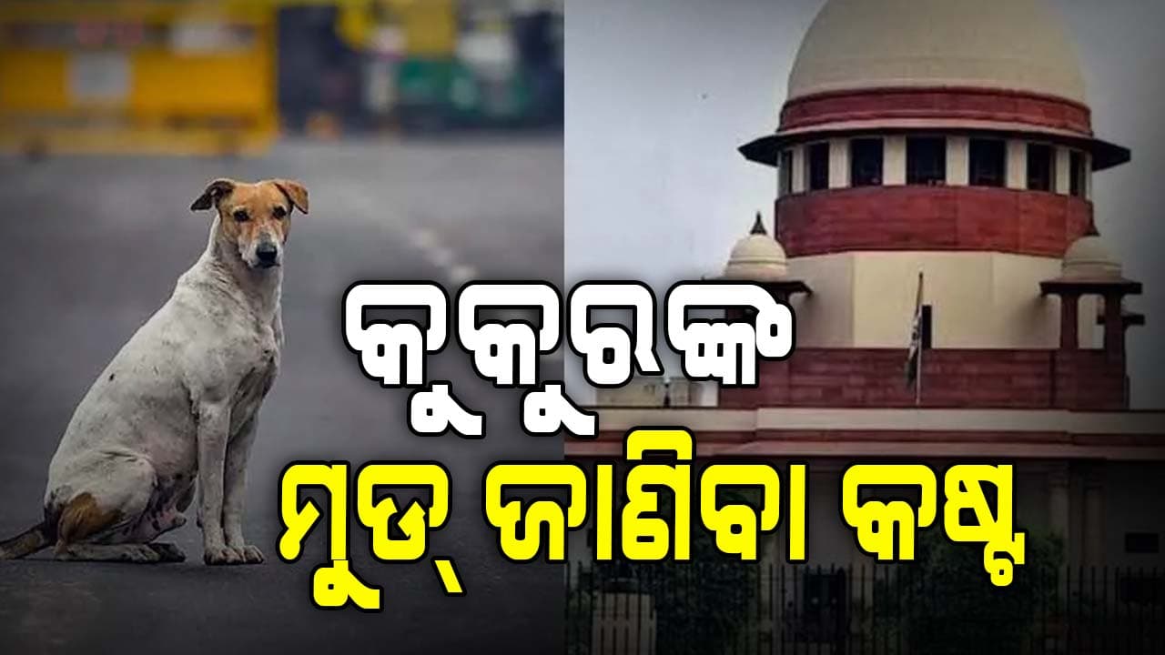 କୁକୁରଙ୍କ ମୁଡ୍ ଜଣାନାହିଁ କାହାକୁ କେତେବେଳ କାମୁଡିବେ ପୂର୍ବାନୁମାନ କଷ୍ଟ : ସୁପ୍ରିମକୋର୍ଟ