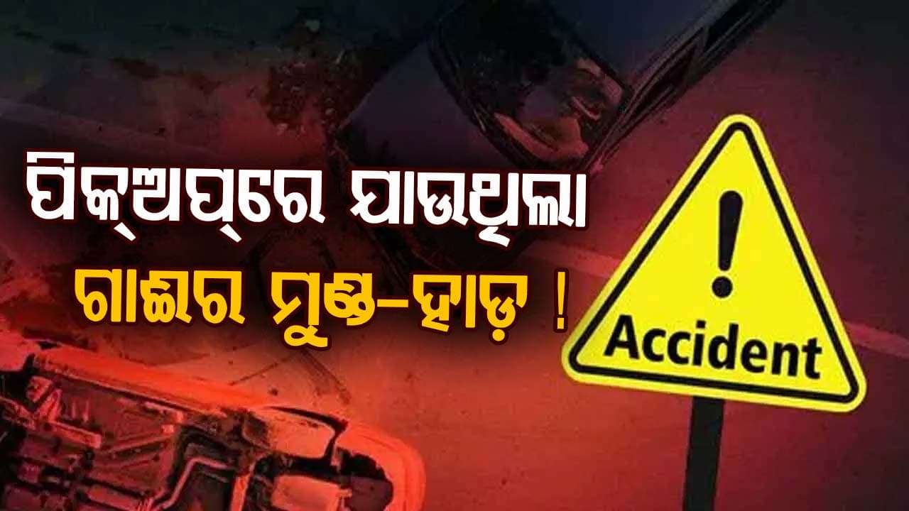 ରାସ୍ତାରେ ଓଲଟିପଡ଼ିଲା ପିକ୍‌ଅପ୍‌ ଭ୍ୟାନ୍‌, ବୋଝେଇ ହୋଇଥିଲା ଗୋ-ମୁଣ୍ଡ ଆଉ ହାଡ଼ !