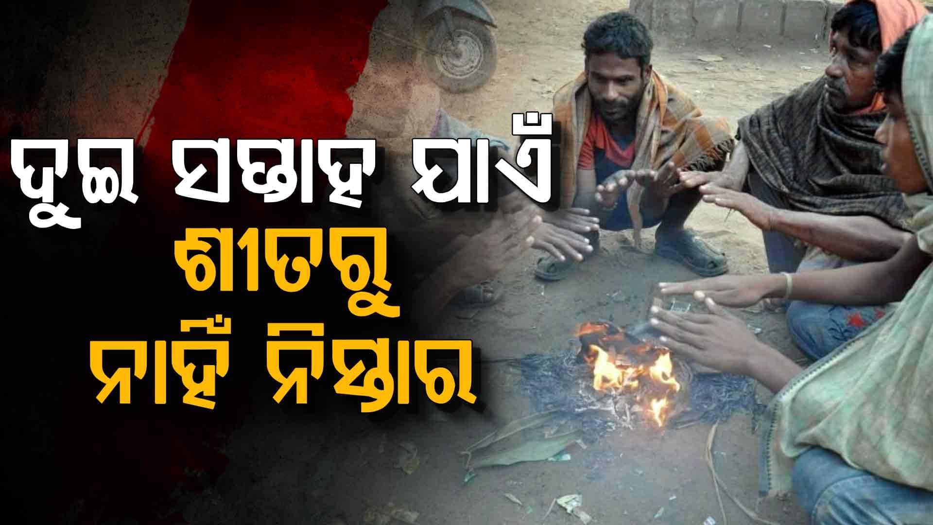 ମାଘରେ ବାଘ ଭଳି ଶୀତ, ଦୁଇ ସପ୍ତାହ ଯାଏଁ ରାଜ୍ୟରେ ଶୀତରୁ ନାହିଁ ନିସ୍ତାର