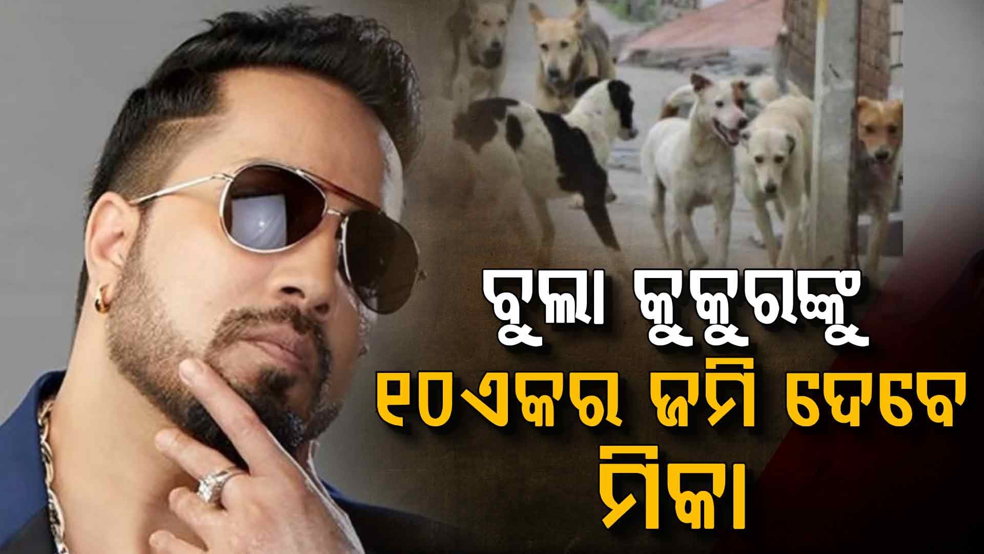 “ବୁଲା କୁକୁରମାନଙ୍କ ପାଇଁ ମିକା ସିଂହଙ୍କ ବଡ଼ ପ୍ରସ୍ତାବ: 10 ଏକର ଜମି ଦାନକୁ ସୁପ୍ରିମକୋର୍ଟରେ ଅନୁରୋଧ”