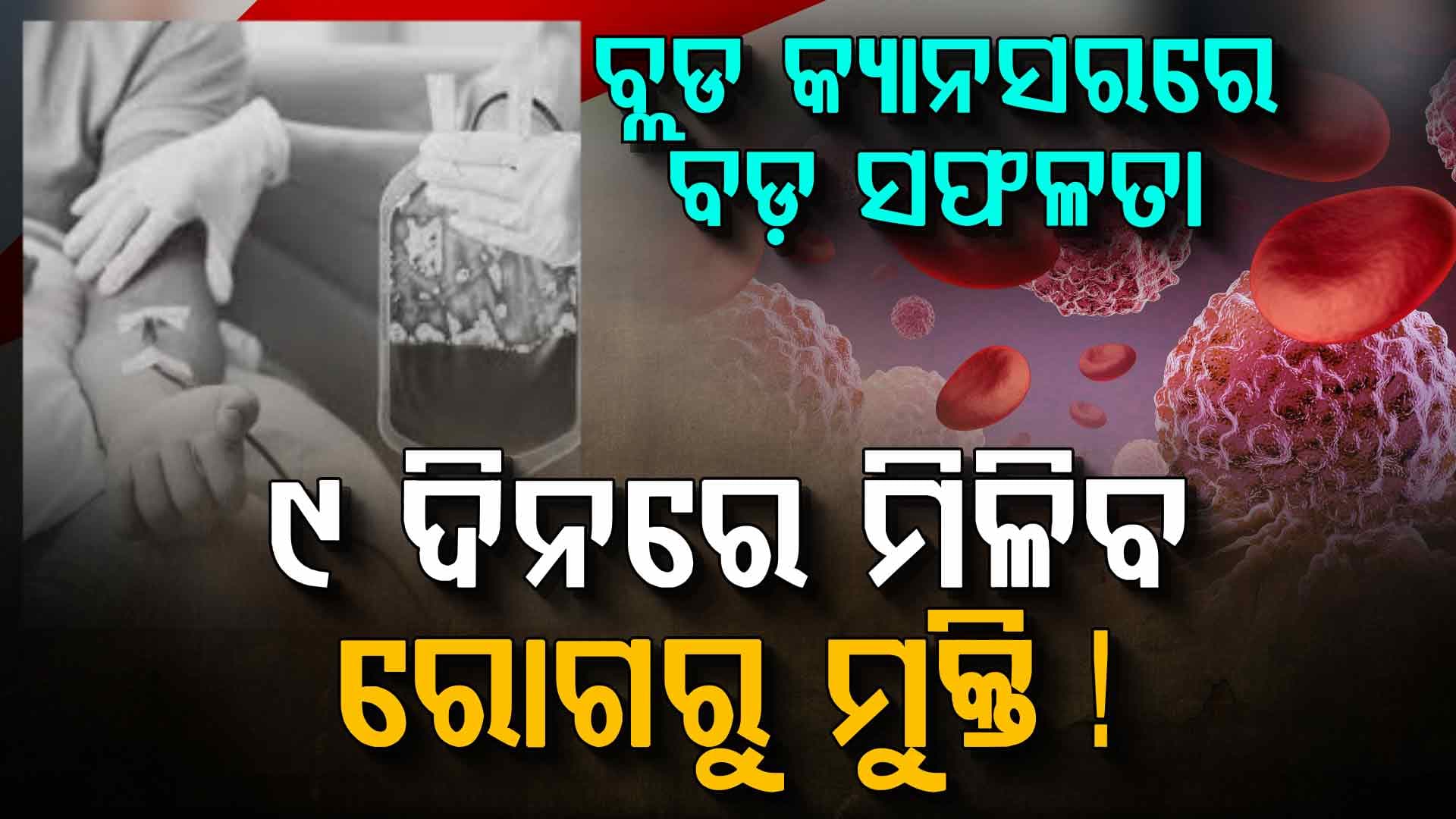 ମାତ୍ର ୯ ଦିନରେ ବ୍ଲଡ କ୍ୟାନ୍ସରରୁ ମୁକ୍ତି, ଜାଣନ୍ତୁ କେତେ ଲାଭକାରୀ ଏହି ନୂଆ ଥେରାପି!