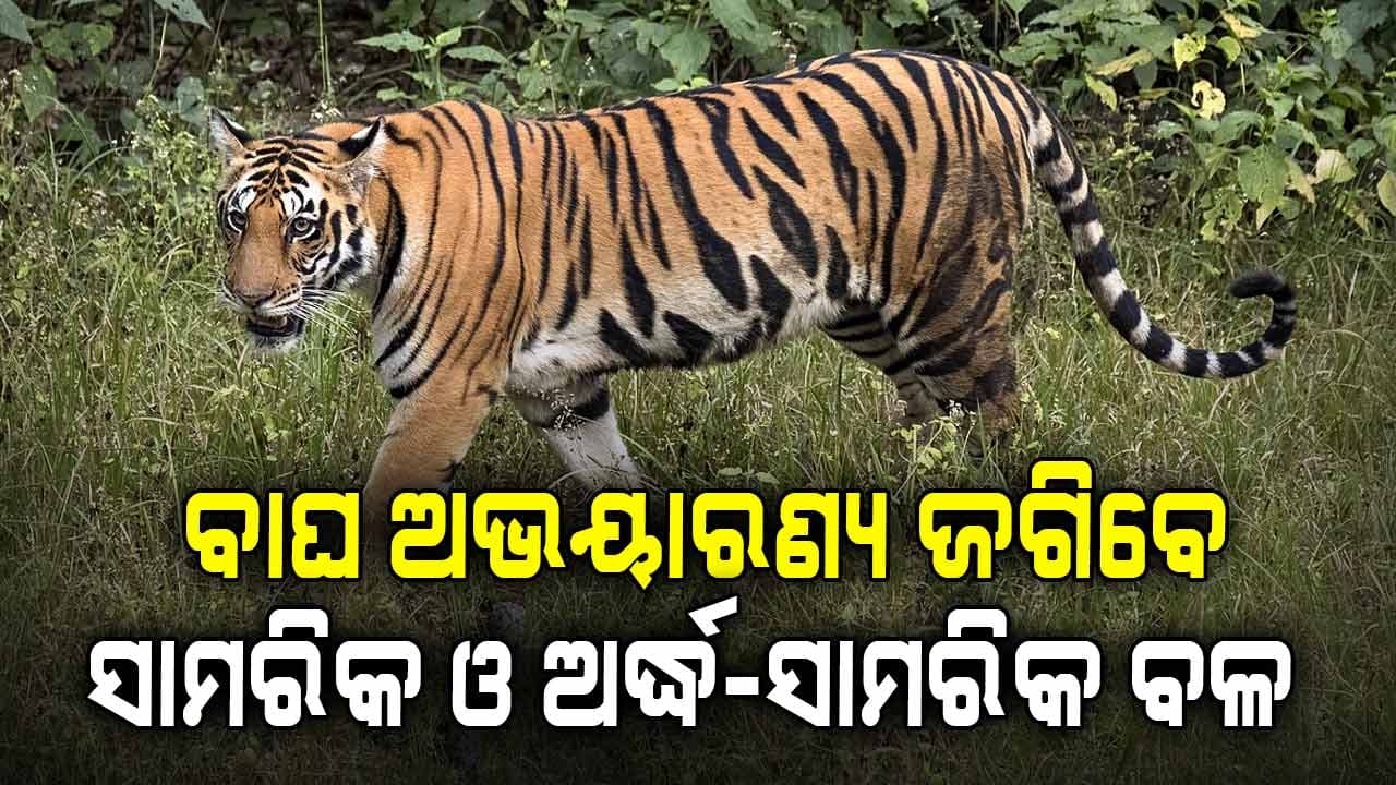 ବାଘ ଅଭୟାରଣ୍ୟ ଜଗିବେ ସାମରିକ ଓ ଅର୍ଦ୍ଧସାମରିକ ବଳ 