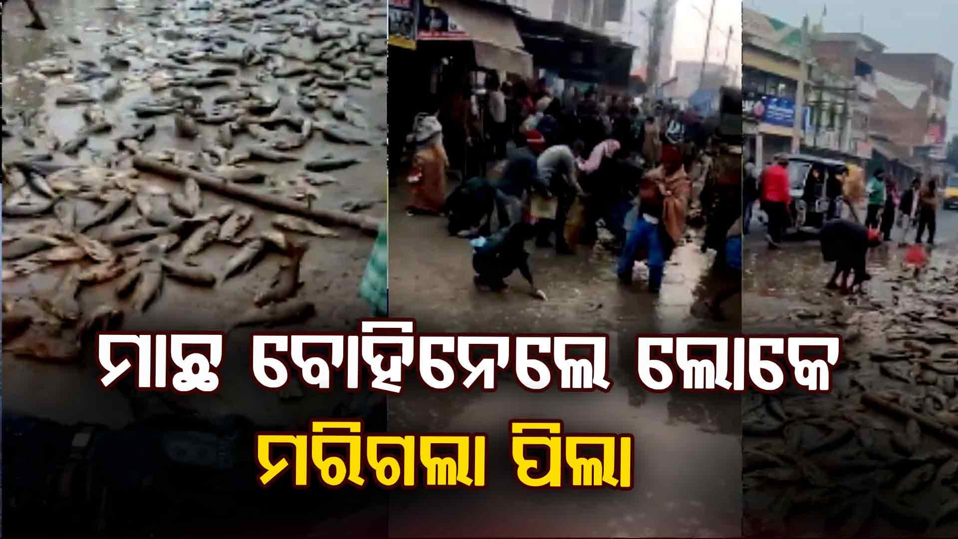 ମରିଗଲା ମାନବିକତା...ଦୁର୍ଘଟଣାରେ ୭ମ ଶ୍ରେଣୀ ଛାତ୍ର ମୃତ, ମୃତଦେହ ପାଖରେ ହେଉଥିଲା ଏମିତି...