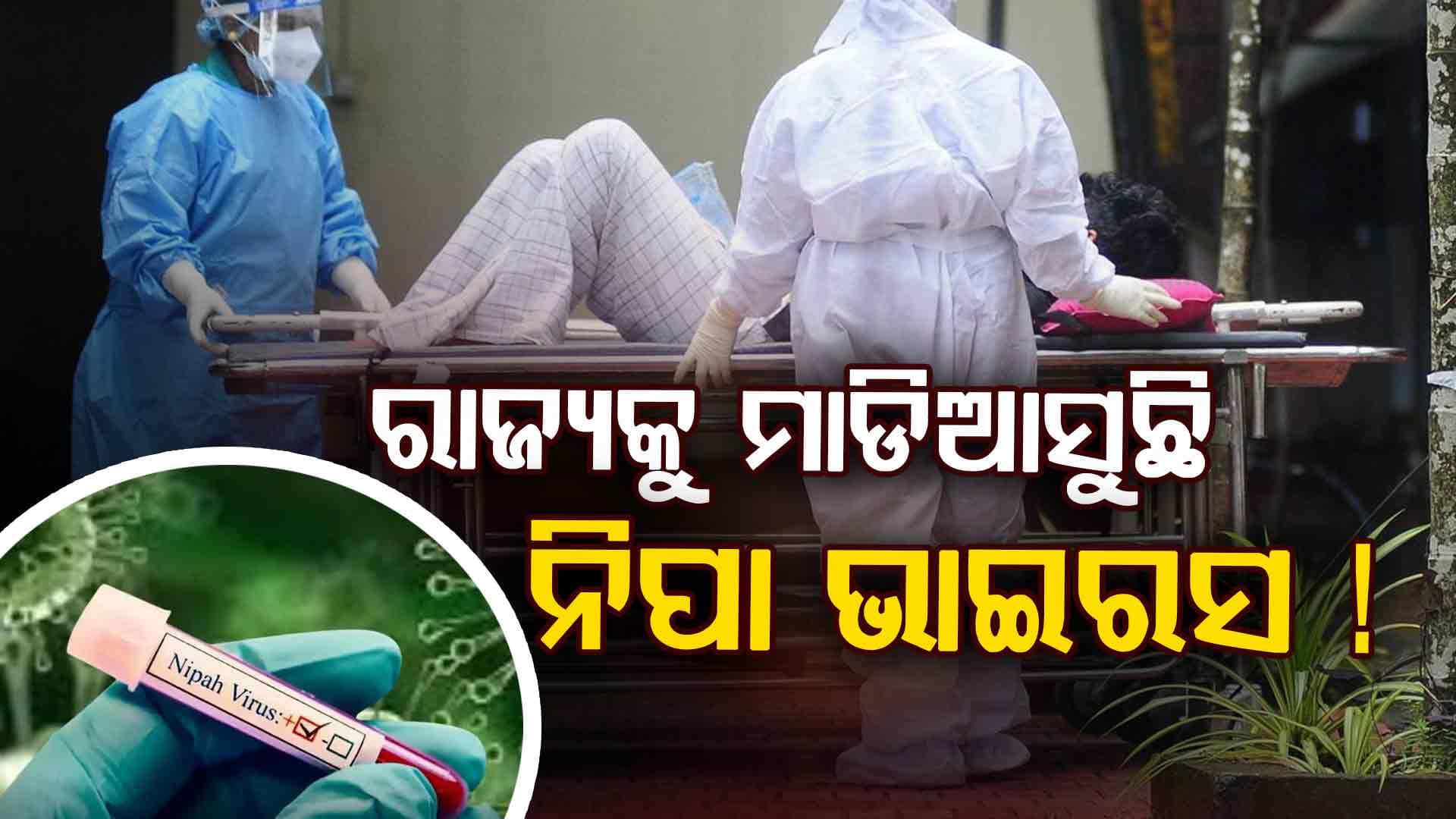 କରୋନା ପରେ ଡରାଇଲାଣି ନିପା ଭାଇରସ୍; ଏକାଧିକ ରାଜ୍ୟକୁ ସତର୍କ ରହିବା ପାଇଁ ନିର୍ଦ୍ଦେଶ