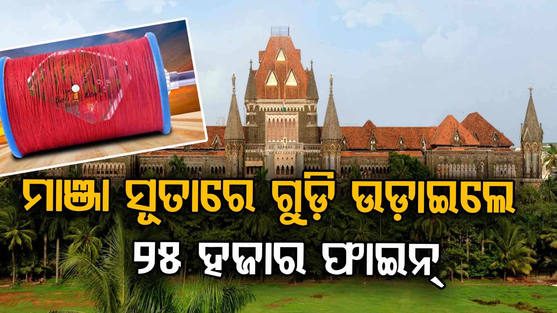 ମଣିଷ ମରା ମାଞ୍ଜା ସୂତା: ବିକ୍ରି କଲେ ଅଢ଼େଇ ଲକ୍ଷ ଟଙ୍କା ଜରିମାନା
