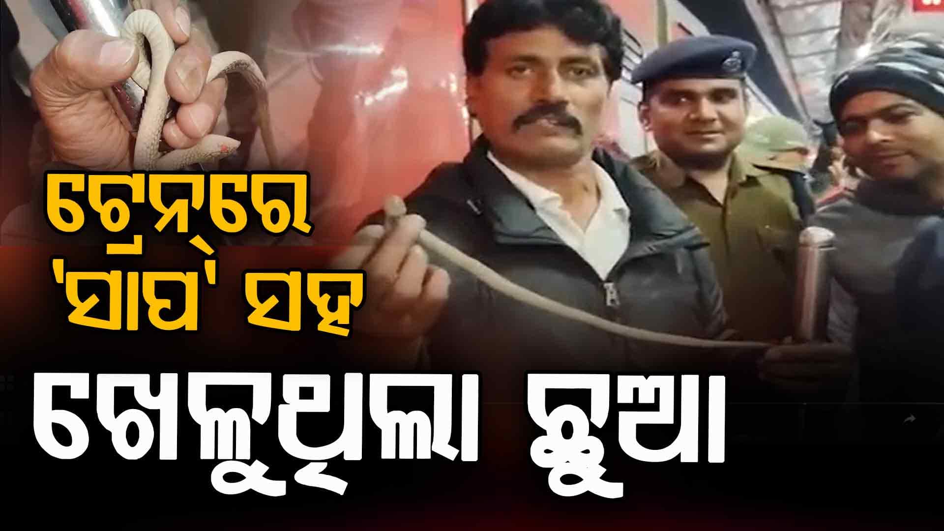 'ସାପ' ସହ ୨ ଘଣ୍ଟା AC କୋଚ୍‌ରେ ଖେଳୁଥିଲା ଛୁଆ; ସିଟ୍ ତଳକୁ ଖସିବାରୁ ସମସ୍ତେ ଛାନିଆ