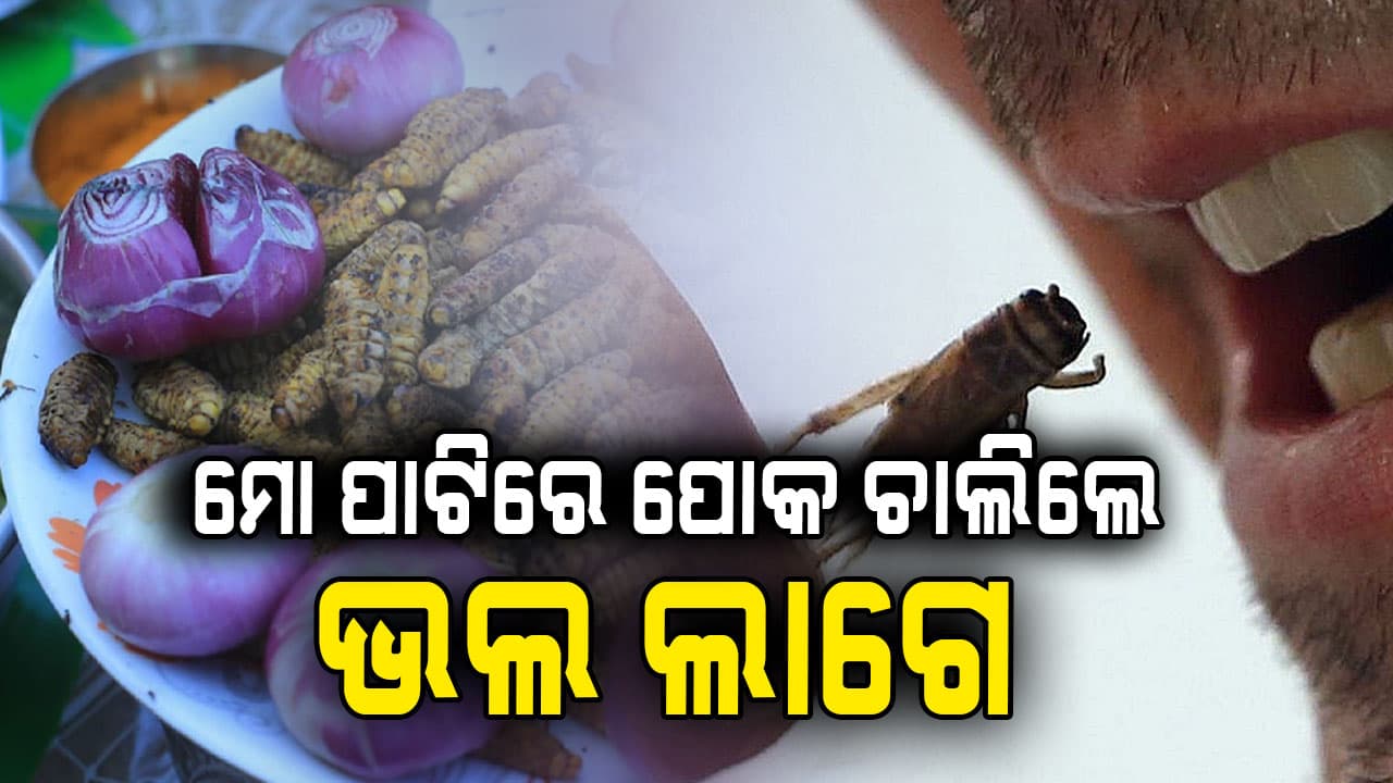 ଆଜବ ବ୍ୟକ୍ତି: ପ୍ରତିଦିନ ଖାଆନ୍ତି ୧୦୦ ଜିଆନ୍ତା କୀଟପତଙ୍ଗ