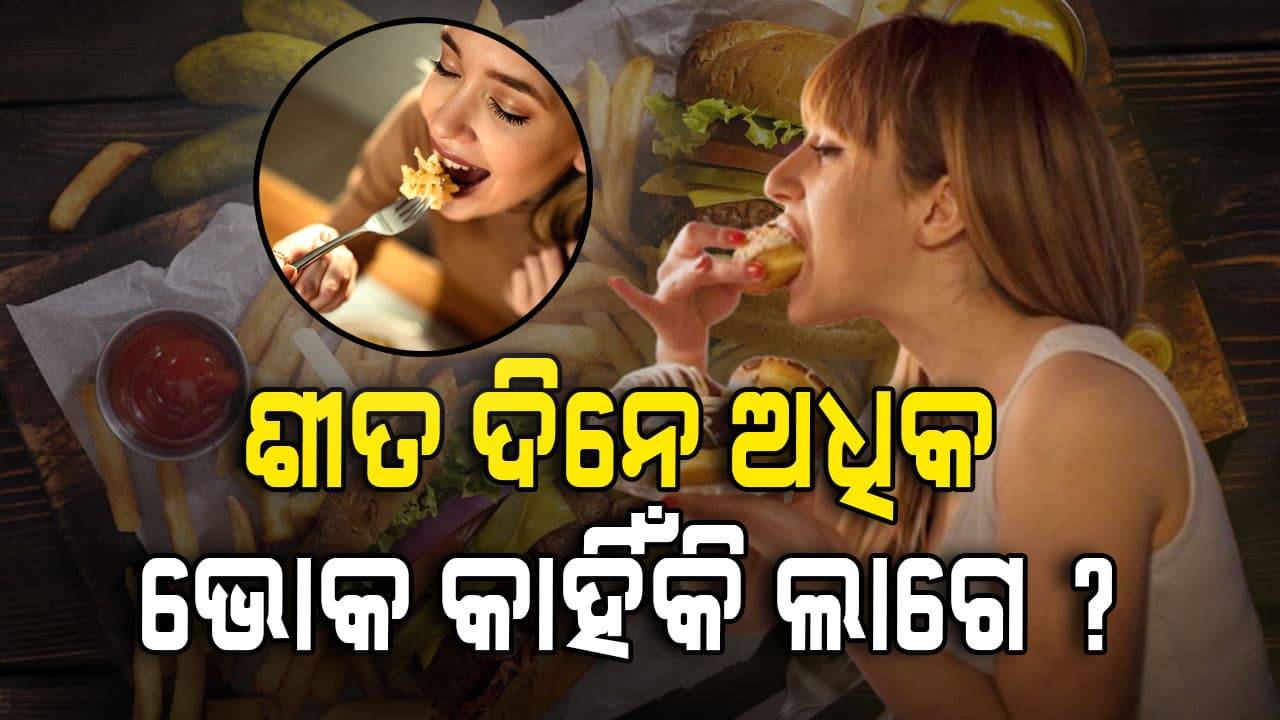 ଶୀତ ଦିନେ ଅଧିକ ଭୋକ ଲାଗୁଛି କି ? ଜାଣନ୍ତୁ ଏହାର କାରଣ...  