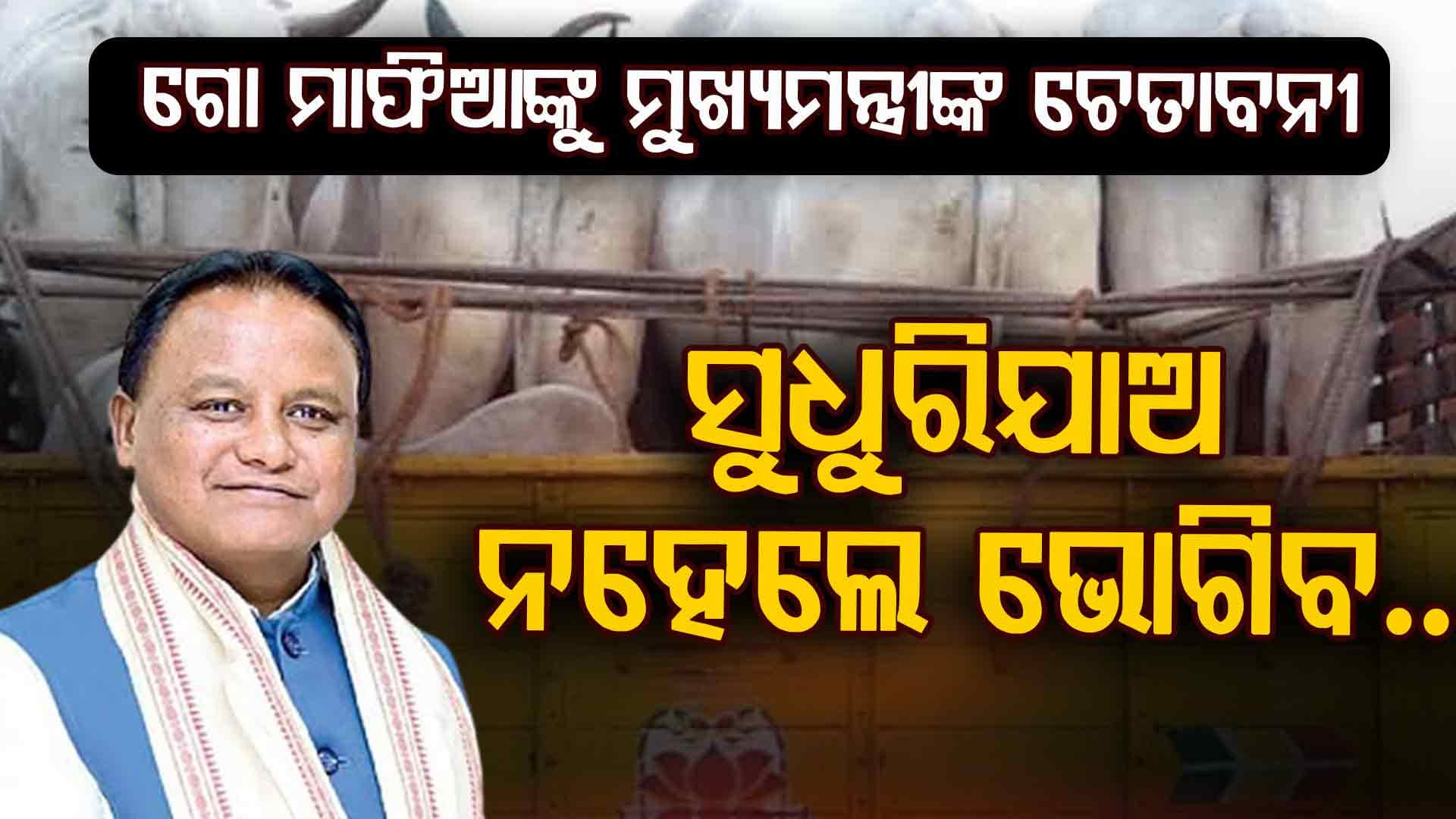 ଅପରେସନ ଗୋରକ୍ଷକରେ ପୁଲିସକୁ ବଡ଼ ସଫଳତା,  ୩୫ ଲକର ଓ ୨୫ ଆକାଉଣ୍ଟ ଠାବ