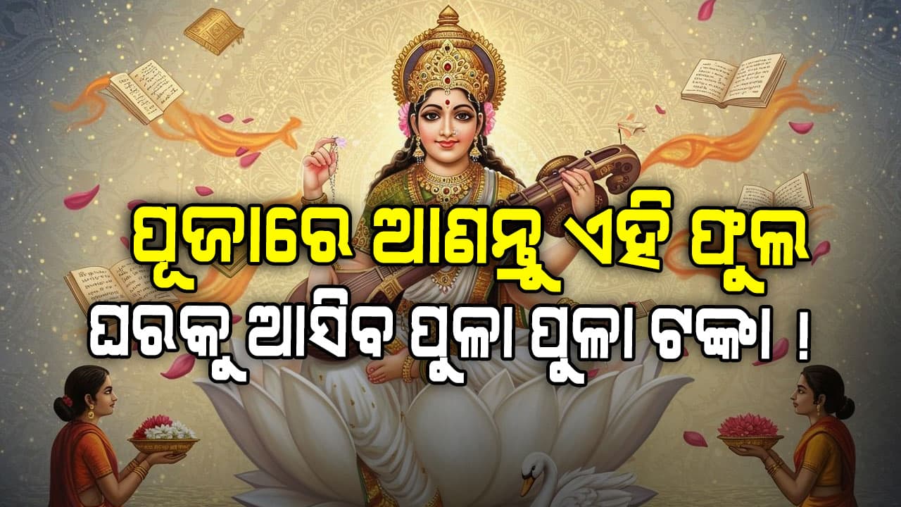ରାତି ପାହିଲେ ସରସ୍ୱତୀ ପୂଜା: ଘରକୁ ଆଣନ୍ତୁ ଏହି ୫ ଜିନିଷ, ବଦଳିଯିବ ଭାଗ୍ୟ