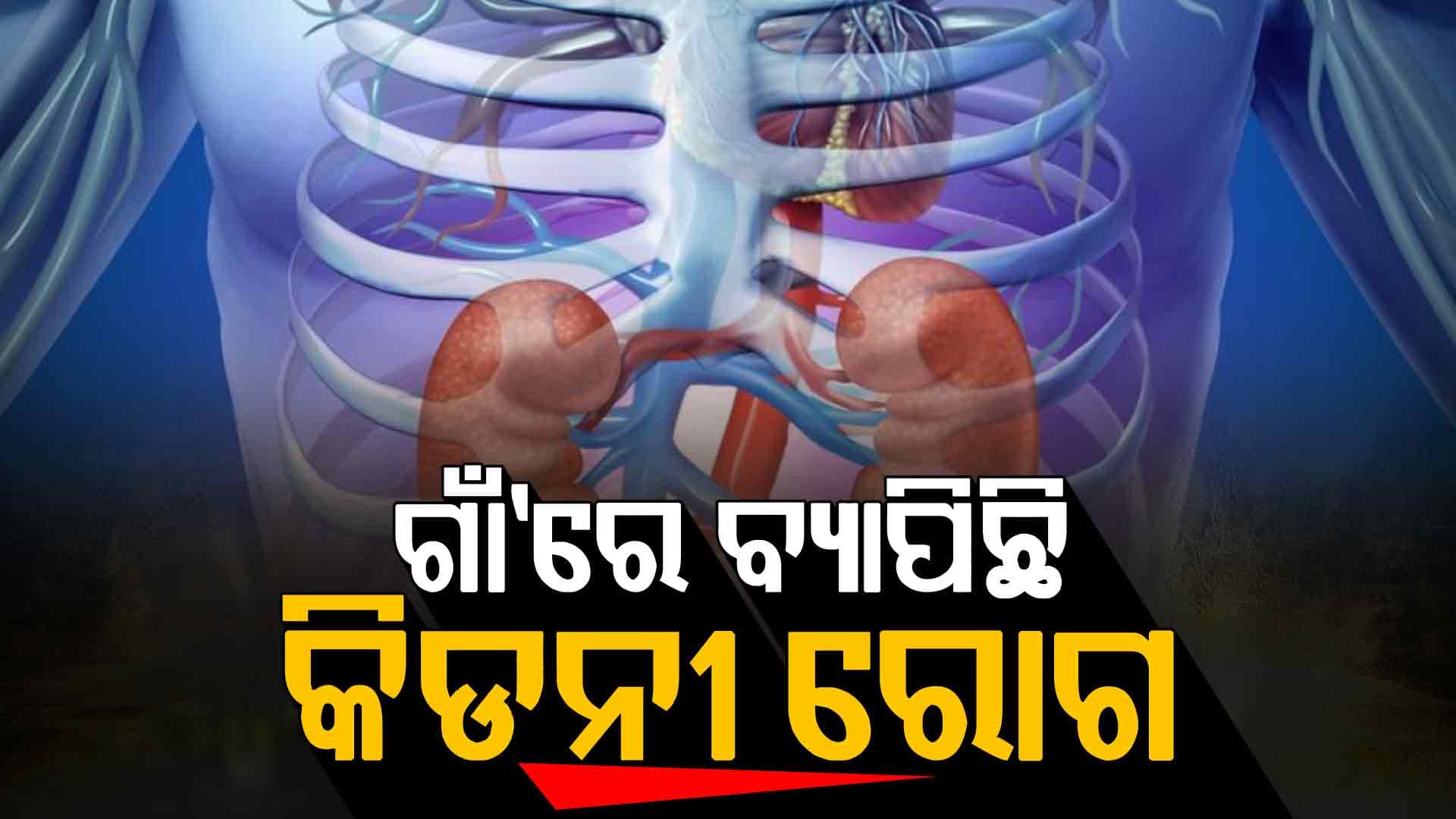 କିଡନୀ ରୋଗରେ ମାଲକାନଗିରି ଏମ୍ ପି ଭି-33 ଗାଁ