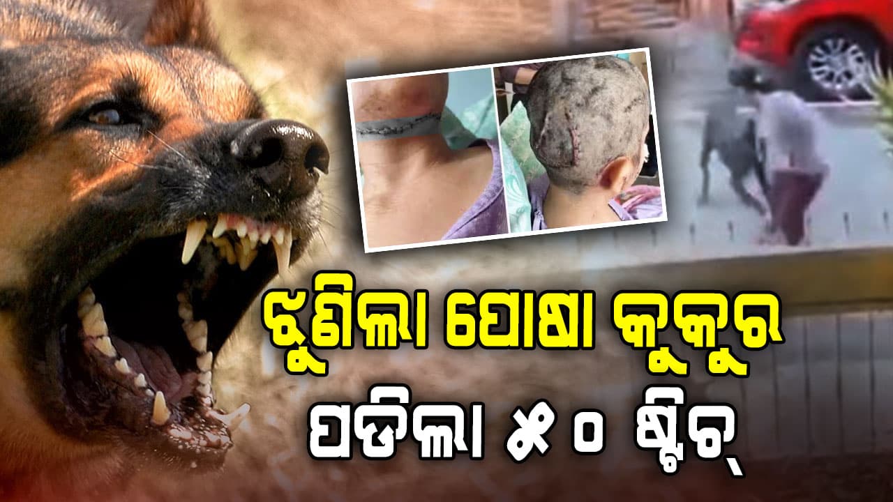 ପ୍ରାତଃଭ୍ରମଣ ବେଳେ ମହିଳାଙ୍କୁ ଝୁଣିଲା ଡଗି; ମୁଣ୍ଡ-ମୁହଁରେ ପଡ଼ିଲା ୫୦ ଷ୍ଟିଚ୍