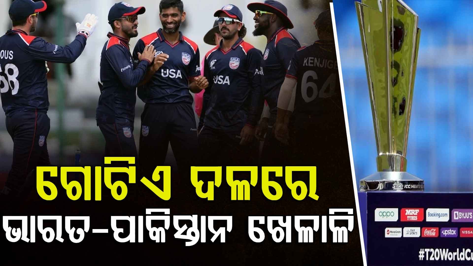 ଟି-୨୦ ବିଶ୍ବକପ୍‌ରେ ଗୋଟିଏ ଦଳରେ ଖେଳିବେ ଭାରତ-ପାକିସ୍ତାନ ଖେଳାଳି