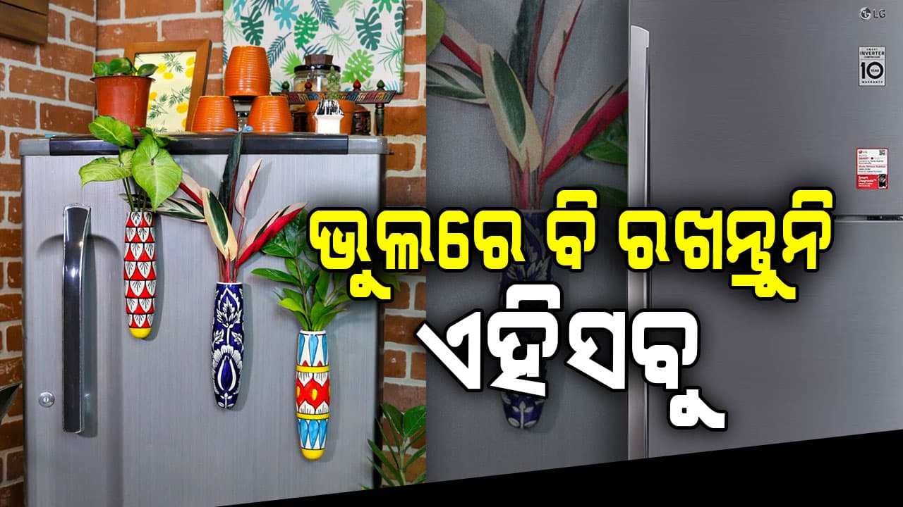 ଫ୍ରିଜ ଉପରେ ଭୁଲରେ ବି ରଖନ୍ତୁନି ଏହିସବୁ; ନଚେତ ହୋଇଯିବ ବଡ଼ କ୍ଷତି