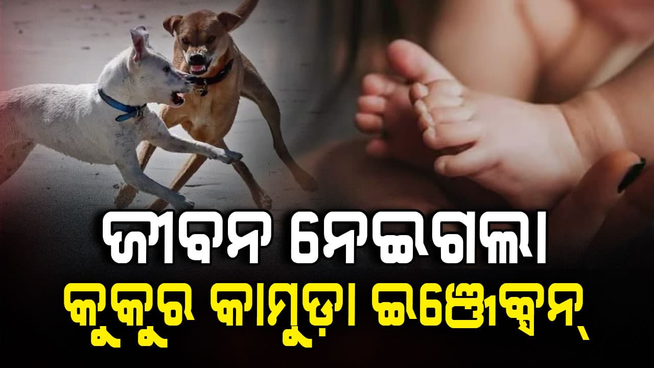 କୁକୁର କାମୁଡ଼ା ଇଞ୍ଜେକ୍ସନ୍ ନେବା ପରେ ମରିଗଲା ୨ ବର୍ଷର ଝିଅ; କାହିଁକି କାମ ଦେଲାନି ରେବିଜ୍ ଭ୍ୟାକ୍ସିନ୍ ?