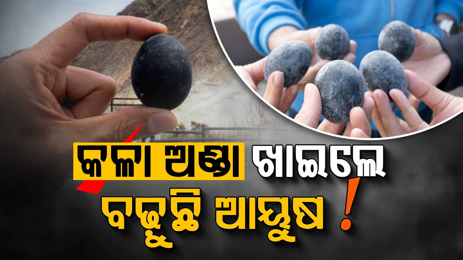 ଗୋଟିଏ ଅଣ୍ଡା ଖାଇଲେ ୭ ବର୍ଷ ବଢ଼ିବ ଆୟୁଷ, ଏହି ଦେଶରେ ଖାଉଛନ୍ତି ଲୋକେ...