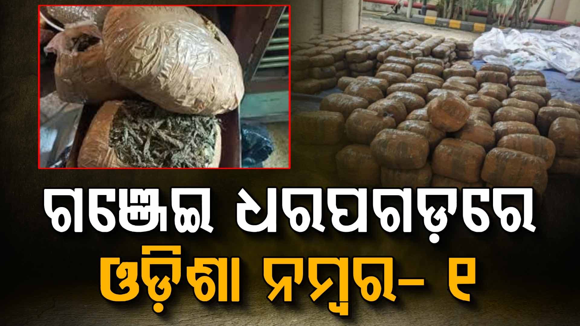 ଗଞ୍ଜେଇ ଧରପଗଡ଼ରେ ଓଡ଼ିଶା ନମ୍ବର- ୧, ୫ ବର୍ଷରେ ଧରା ପଡ଼ିଛି ୧୦ ଲକ୍ଷ କେଜି ଗଞ୍ଜେଇ