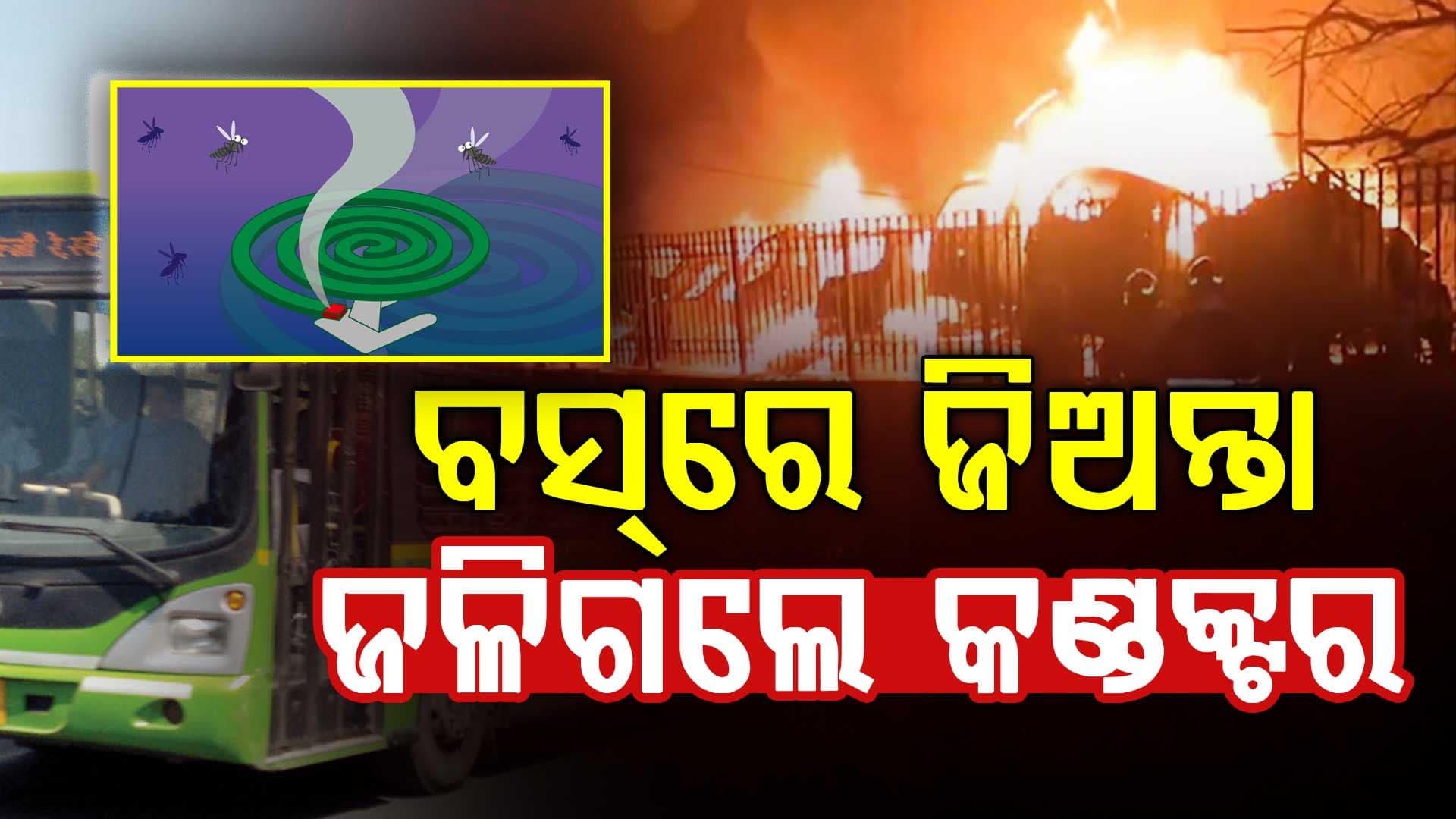 ମଶା କରୁଥିଲା ଅସ୍ତବ୍ୟସ୍ତ; ଲଗାଇଲେ ମଶାଧୂପ, ଚାଲିଗଲା ଜୀବନ