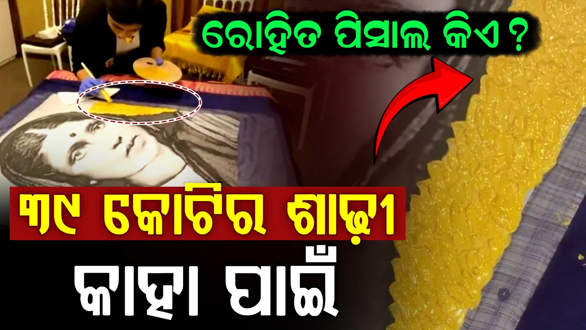 ୩୬ କୋଟି ଟଙ୍କାର ହୀରା, ୨ କିଲୋ ସୁନା...ରୋହିତ ପିସାଲ ତିଆରି କଲେ ୩୯ କୋଟି ଟଙ୍କାର ଶାଢ଼ି