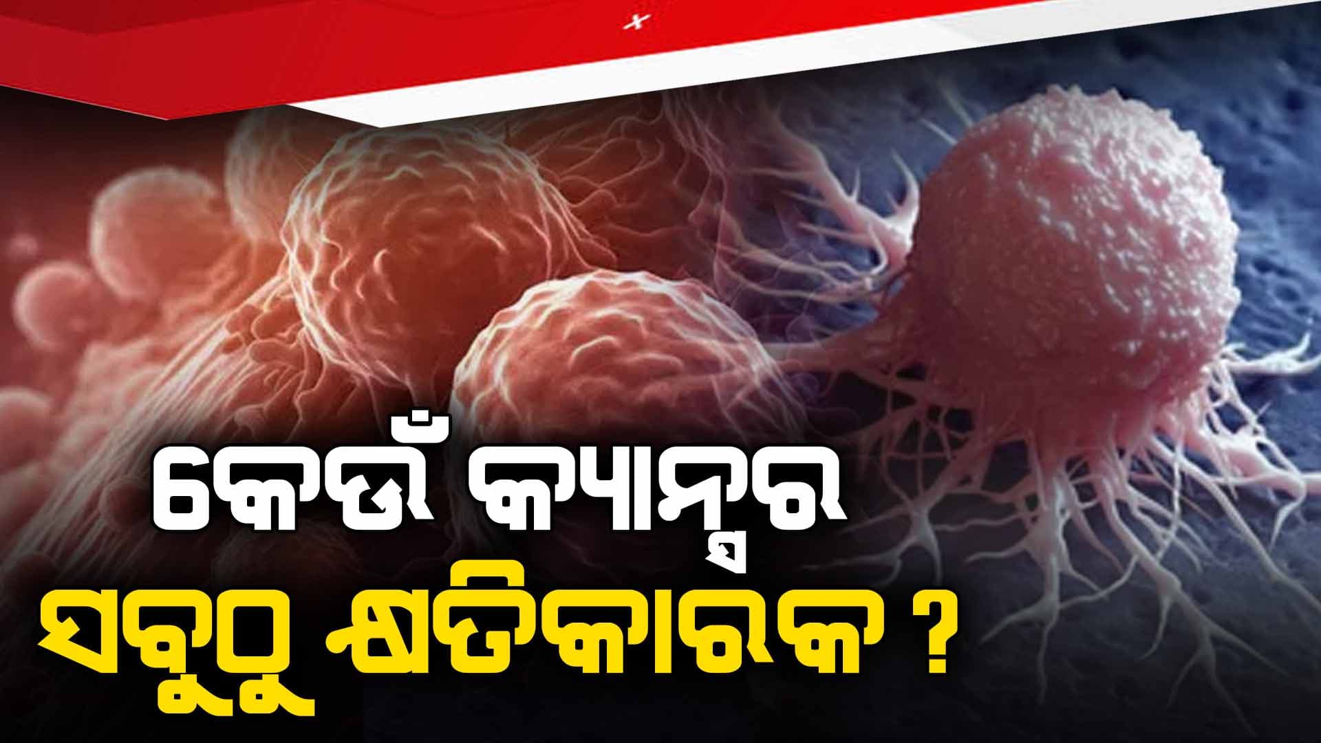 ମାଡ଼ିଚାଲିଛି କ୍ୟାନ୍ସର, ଏହି କ୍ୟାନ୍ସର ନେଉଛି ଅଧିକ ଜୀବନ...