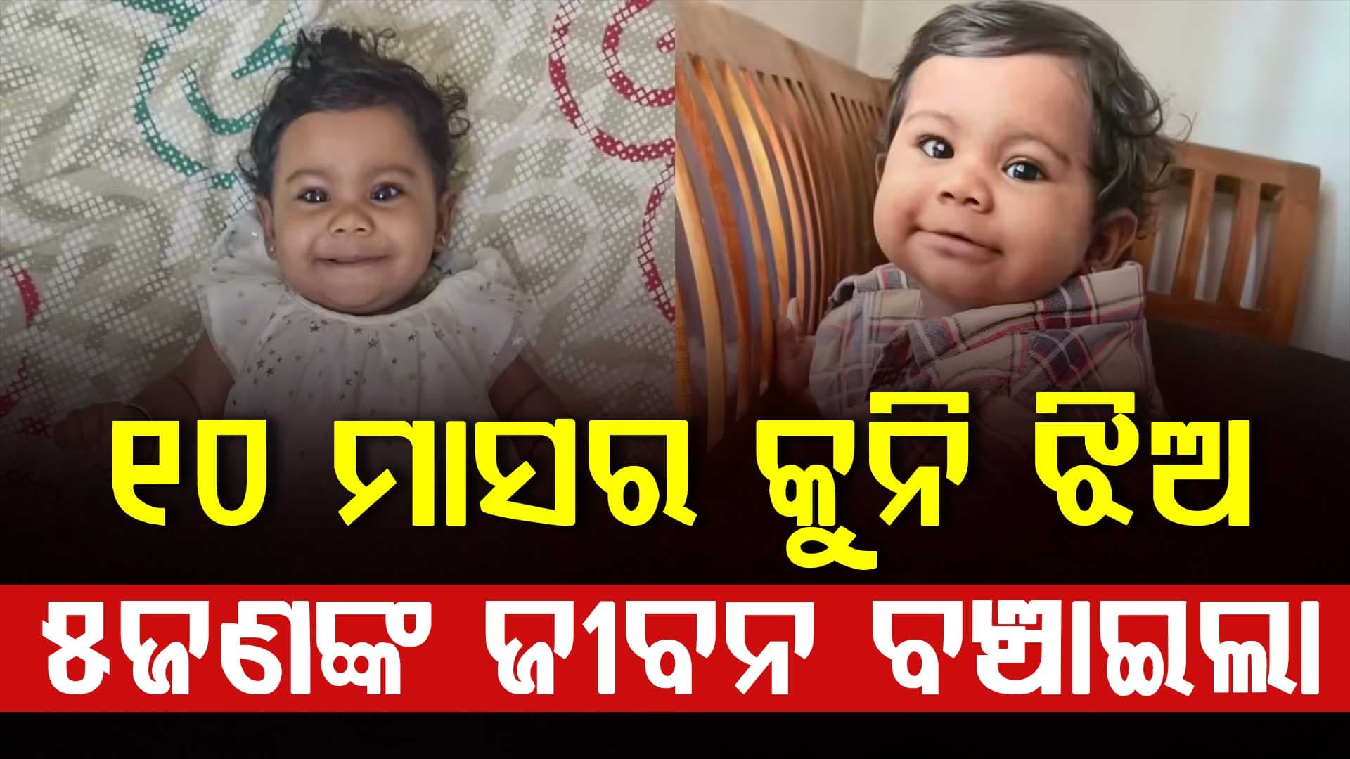 ଜୀବନ କଣ ଜାଣିବା ପୂର୍ବରୁ ୧୦ ମାସର କୁନି ଝିଅ ଏଲିନ ୫ ଜୀବନ ବଞ୍ଚାଇଲା