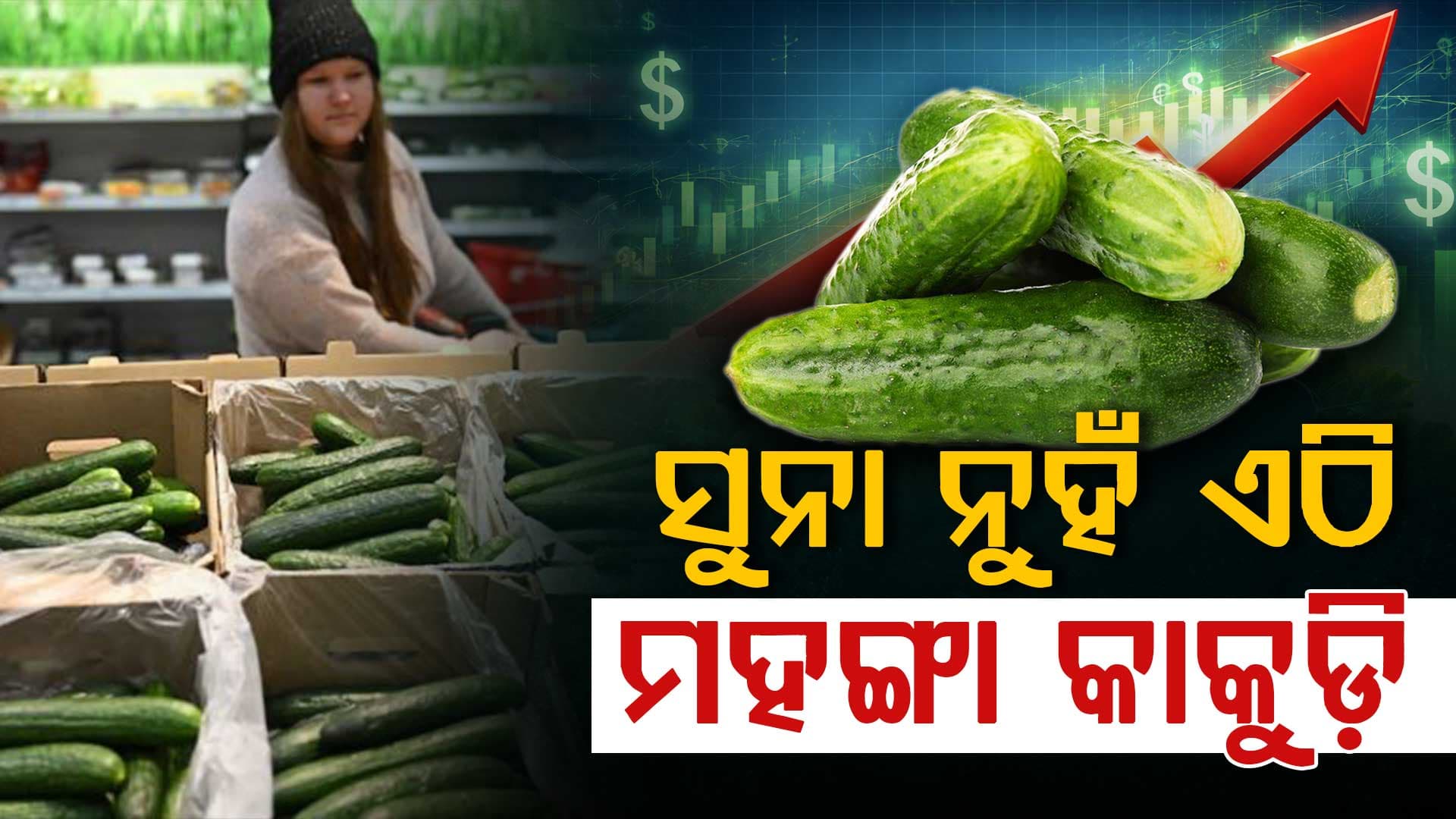 ସୁନା ଛାଡ଼ନ୍ତୁ, କିଣନ୍ତୁ କାକୁଡ଼ି ! ଦର ଶୁଣି ହେବେ ଅବାକ୍