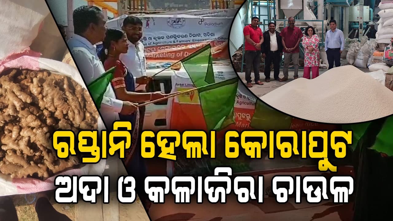 କୋରାପୁଟ ପ୍ରସିଦ୍ଧ ଅଦା ଓ କଳାଜିରା ଚାଉଳ ଅନ୍ୟ ରାଜ୍ୟକୁ ରପ୍ତାନି 