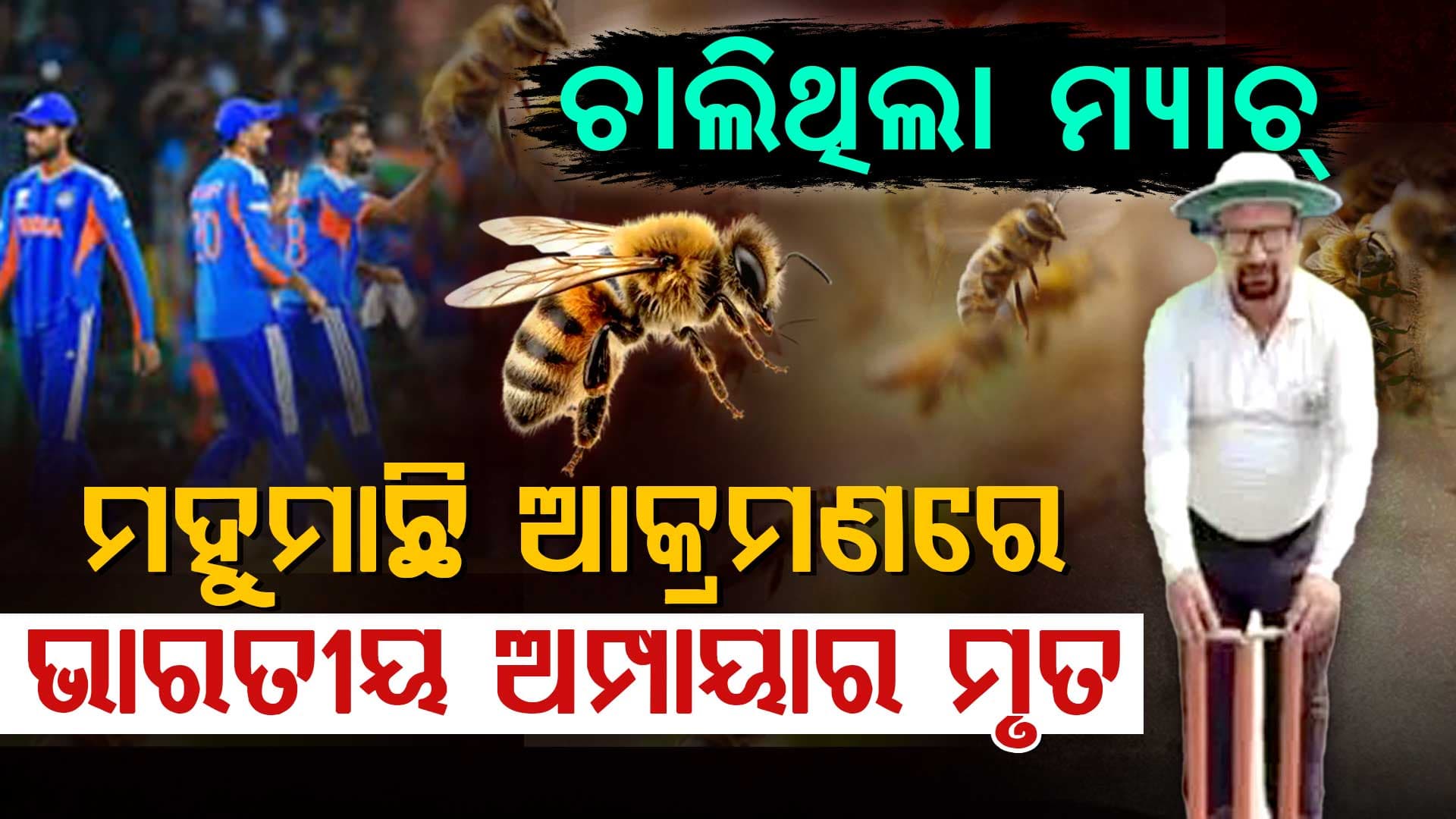 କ୍ରିକେଟ ଟିମ୍‌ ପାଇଁ ଦୁଃଖ ଖବର, ମ୍ୟାଚ୍‌ ମଝିରେ ଚାଲିଗଲା ଭାରତୀୟ ଅମ୍ପାୟାରଙ୍କ ଜୀବନ