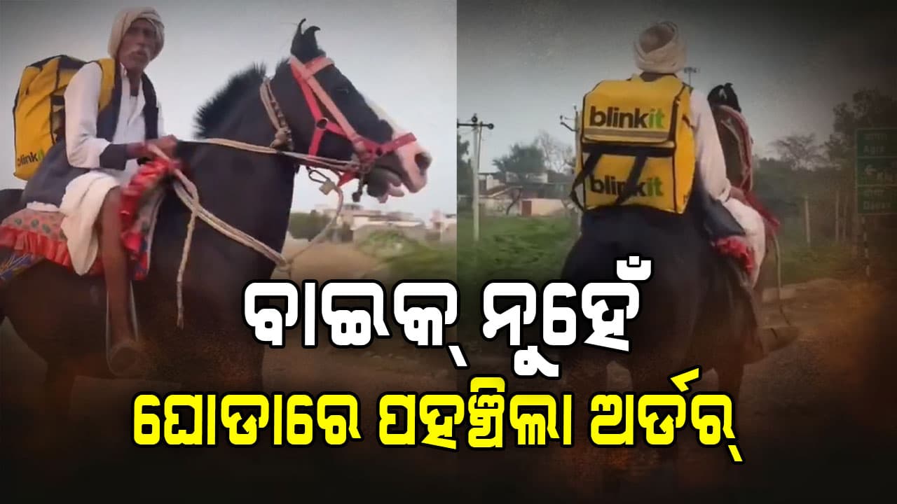 ଘୋଡା ପିଠିରେ ଅନଲାଇନ୍ ଡେଲିଭରି ଭିଡିଓ ଭାଇରାଲ... 