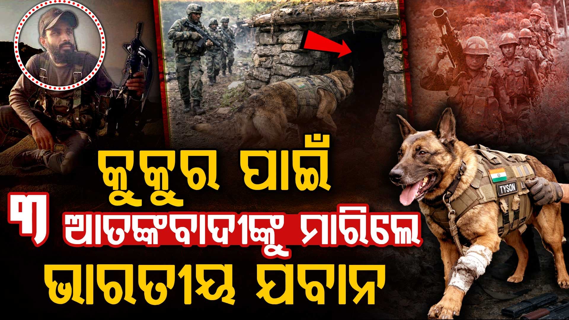 ସେନା କୁକୁର ପାଇଁ ୩ ଆତଙ୍କବାଦୀଙ୍କୁ ମାରିଲେ ଭାରତୀୟ ଯବାନ