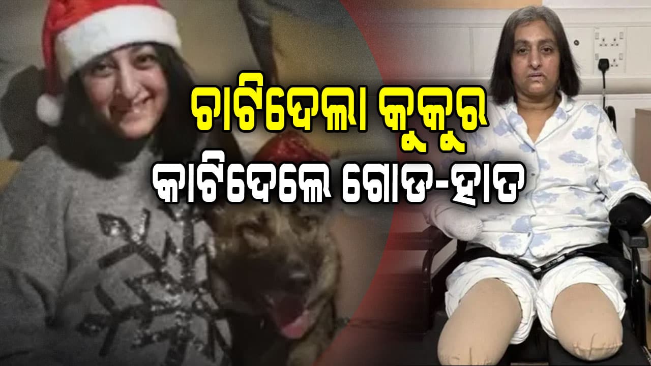 ଚାଟିଦେଲା କୁକୁର: ୬ ଥର ହାର୍ଟ ଷ୍ଟ୍ରୋକ୍, କାଟିଦେଲେ ୪ ଅଙ୍ଗ